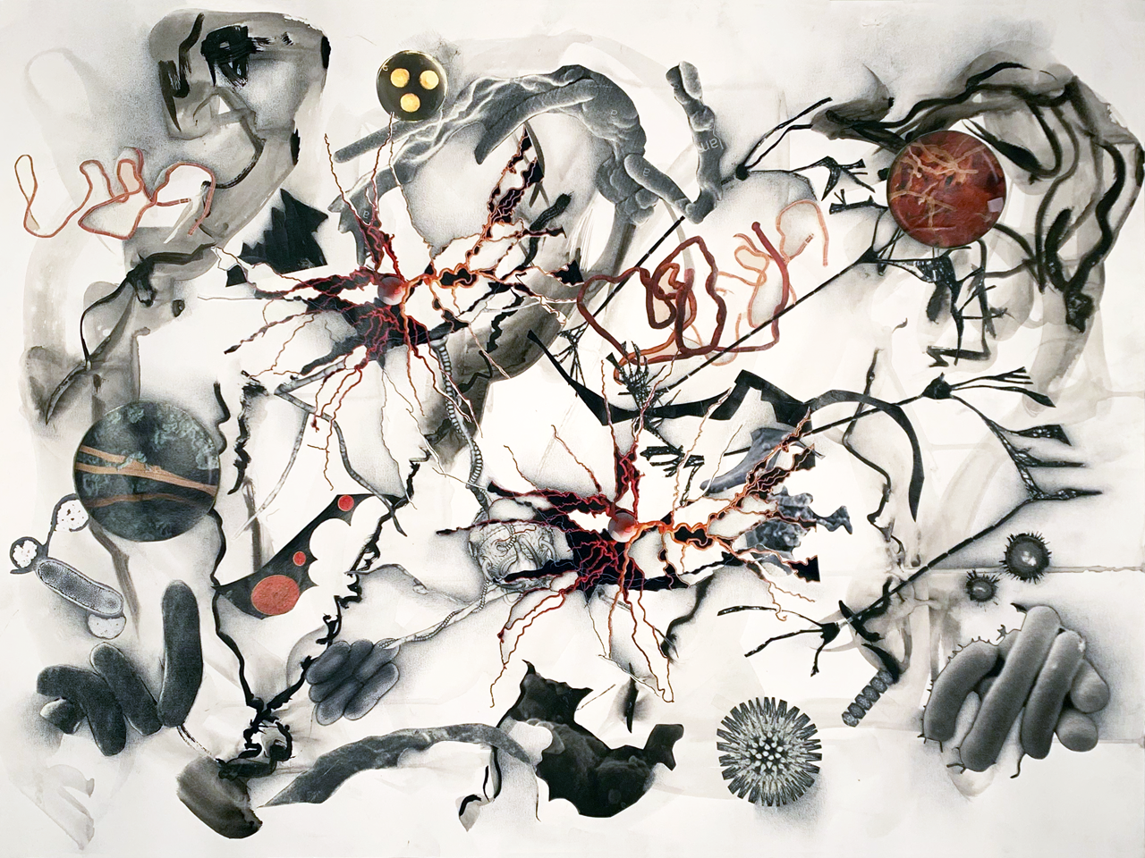   Brains 1416 , 2022, graphite, India ink, printer ink and paper on paper, 18"x24" 