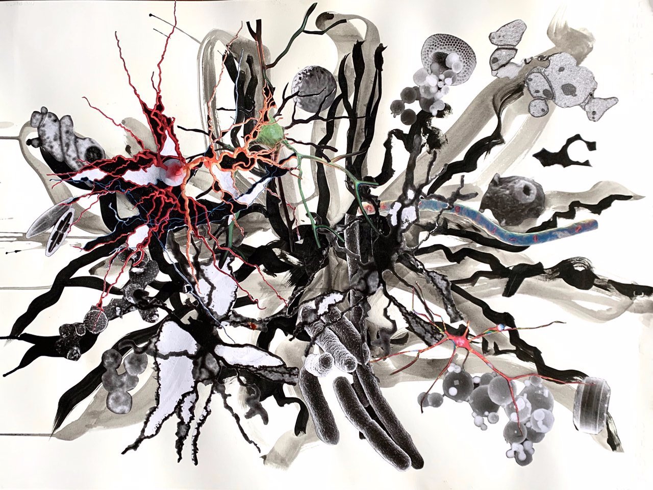   Brains 0876 , 2021, graphite, India ink, printer ink and paper on paper, 24"x30"  