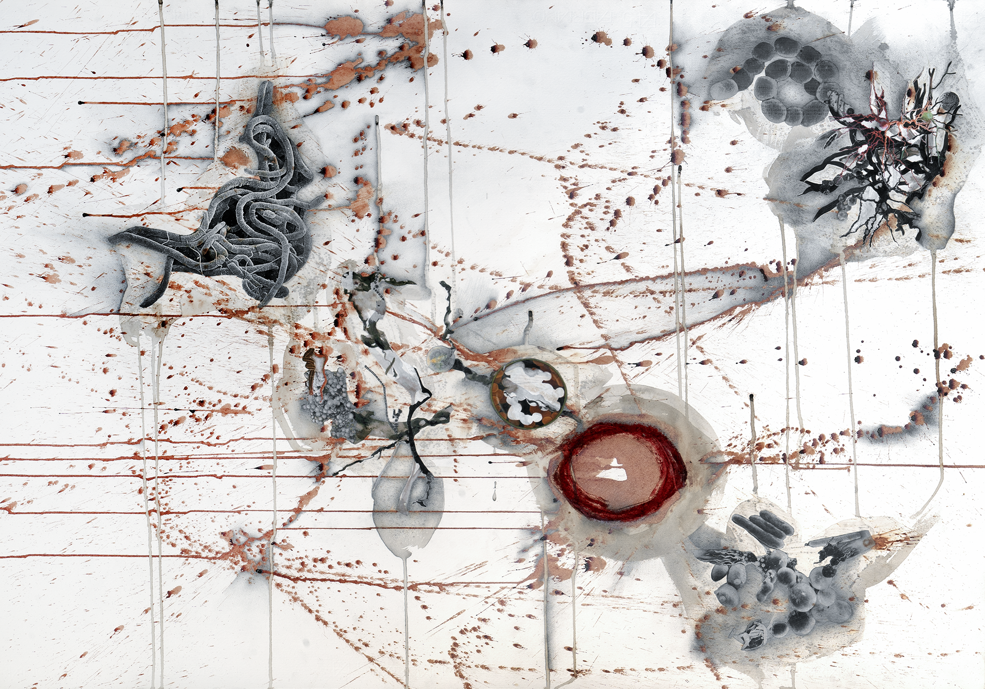   Blood 6384 , 2023, graphite, blood, India ink, printer ink and paper on paper, 34”x40” 