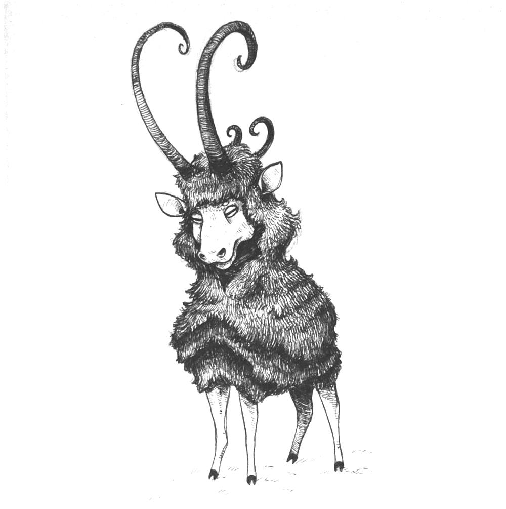 fluffim.png