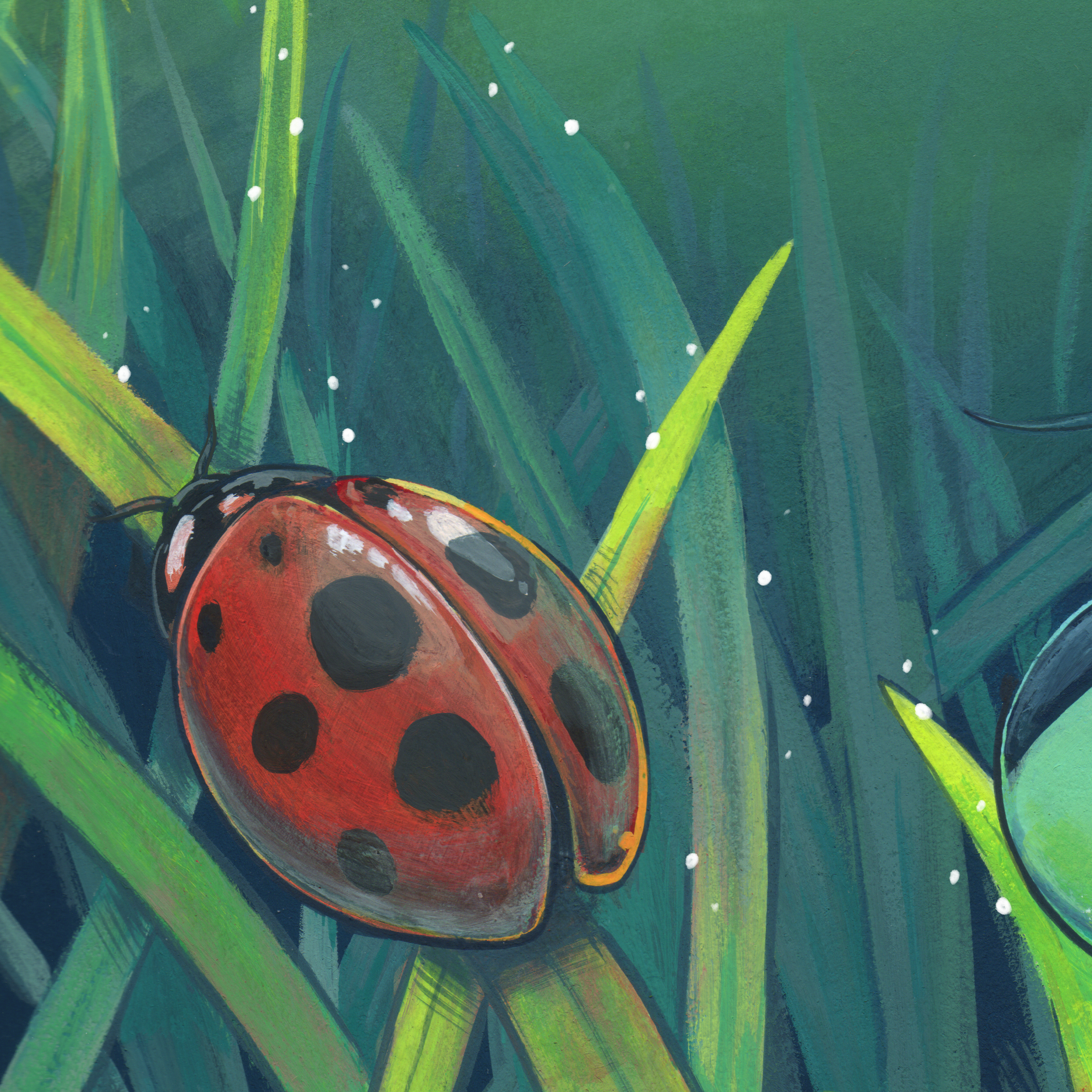 Icon4.png
