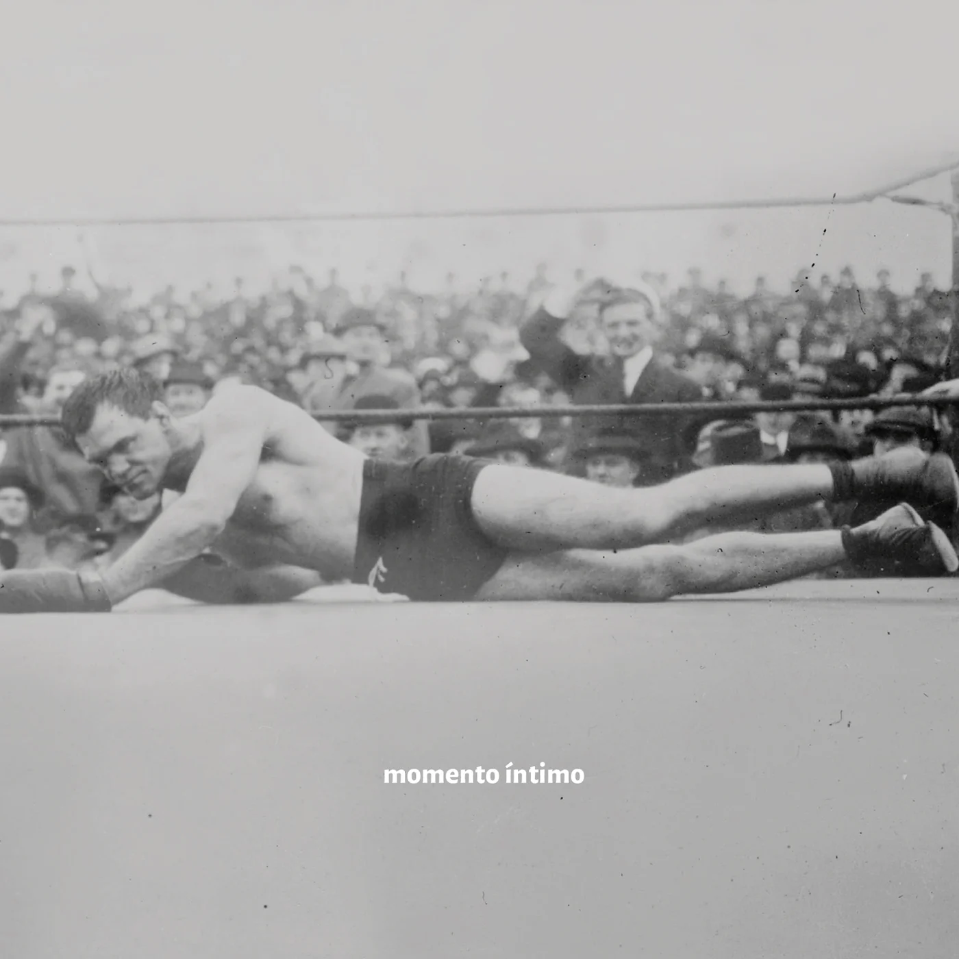 momento íntimo porcas borboletas_João_Paulo_Bitencourt_02.jpg