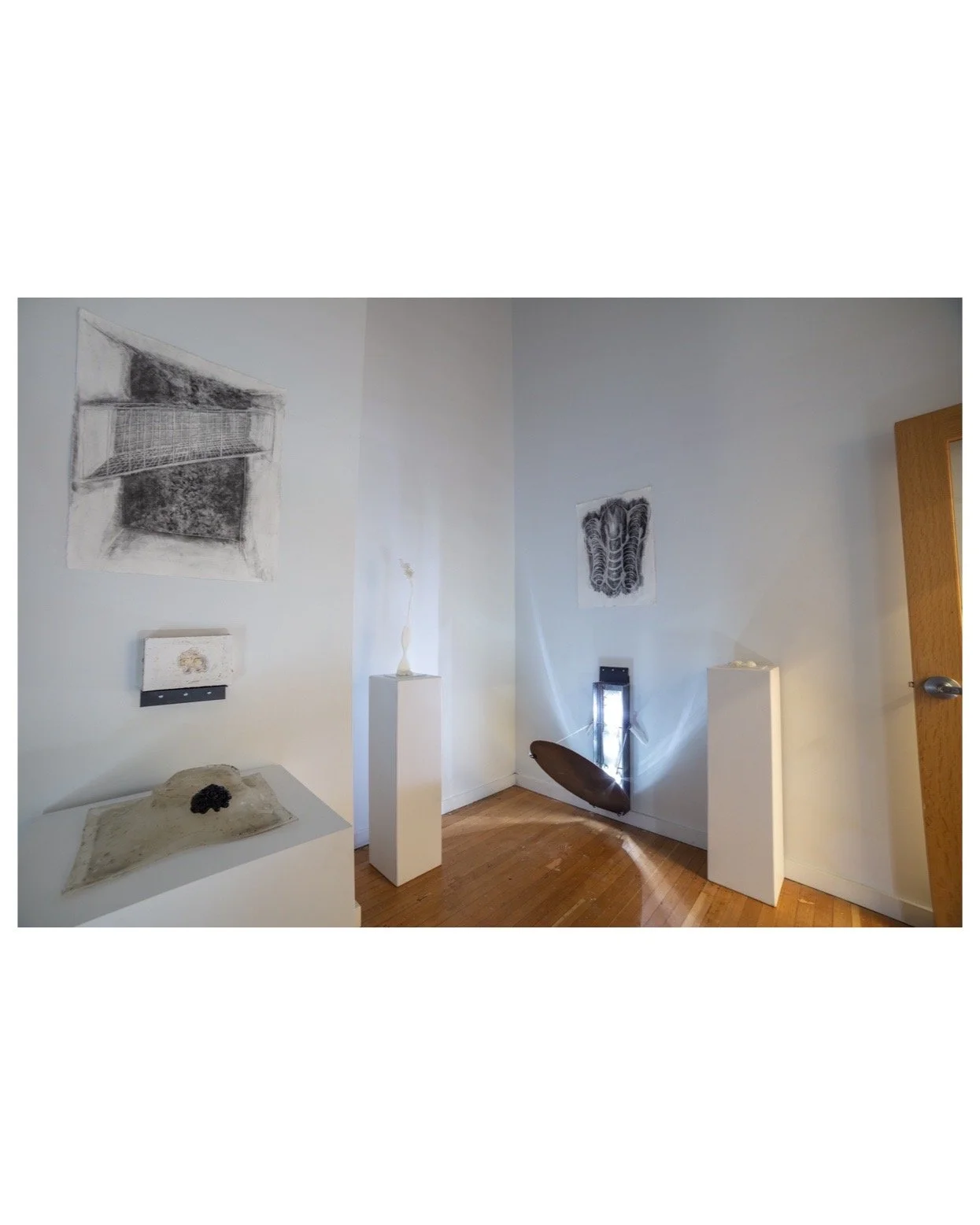 Phosphene Install View (ig).JPG