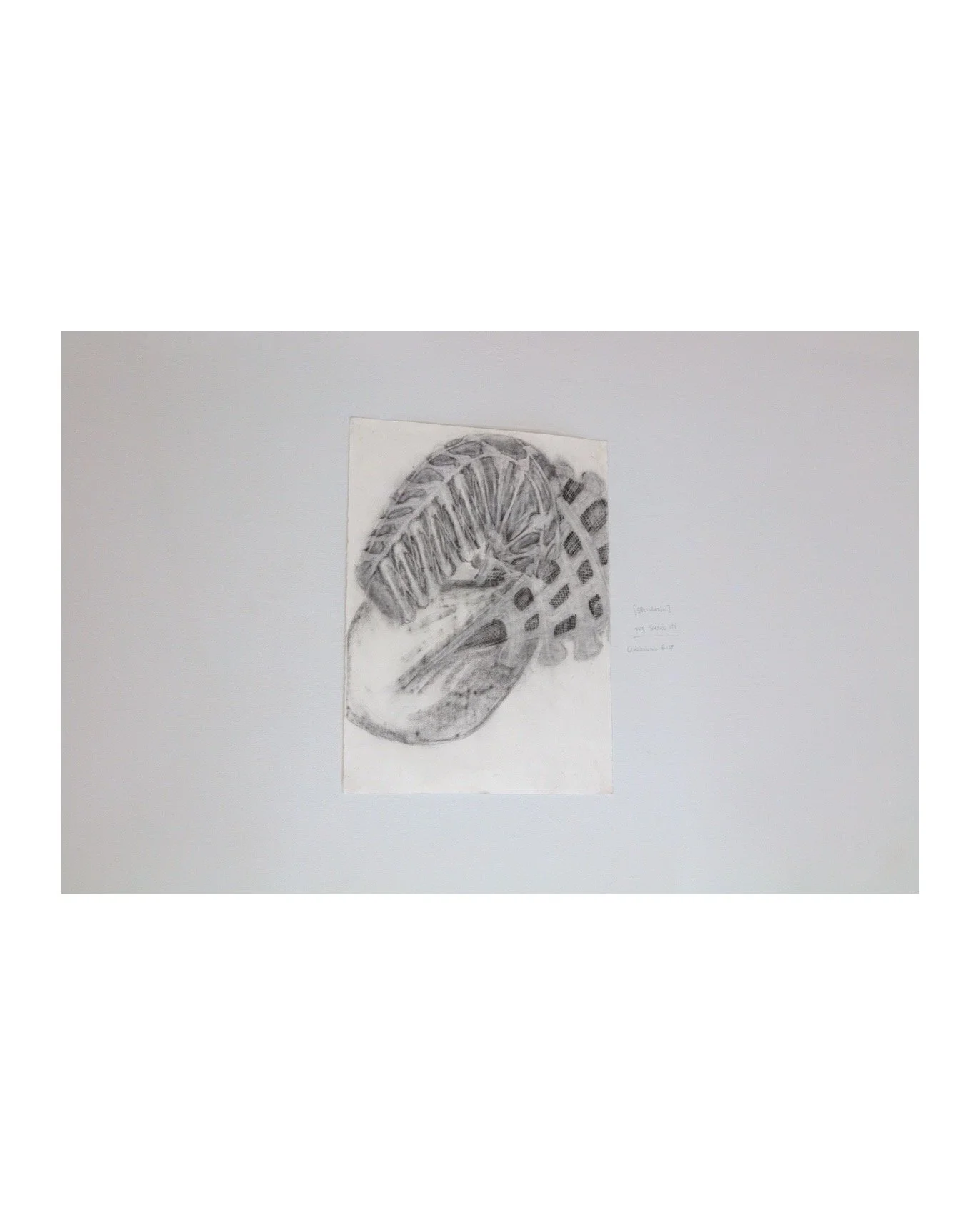 Install View Conjoining Rite (III).JPG