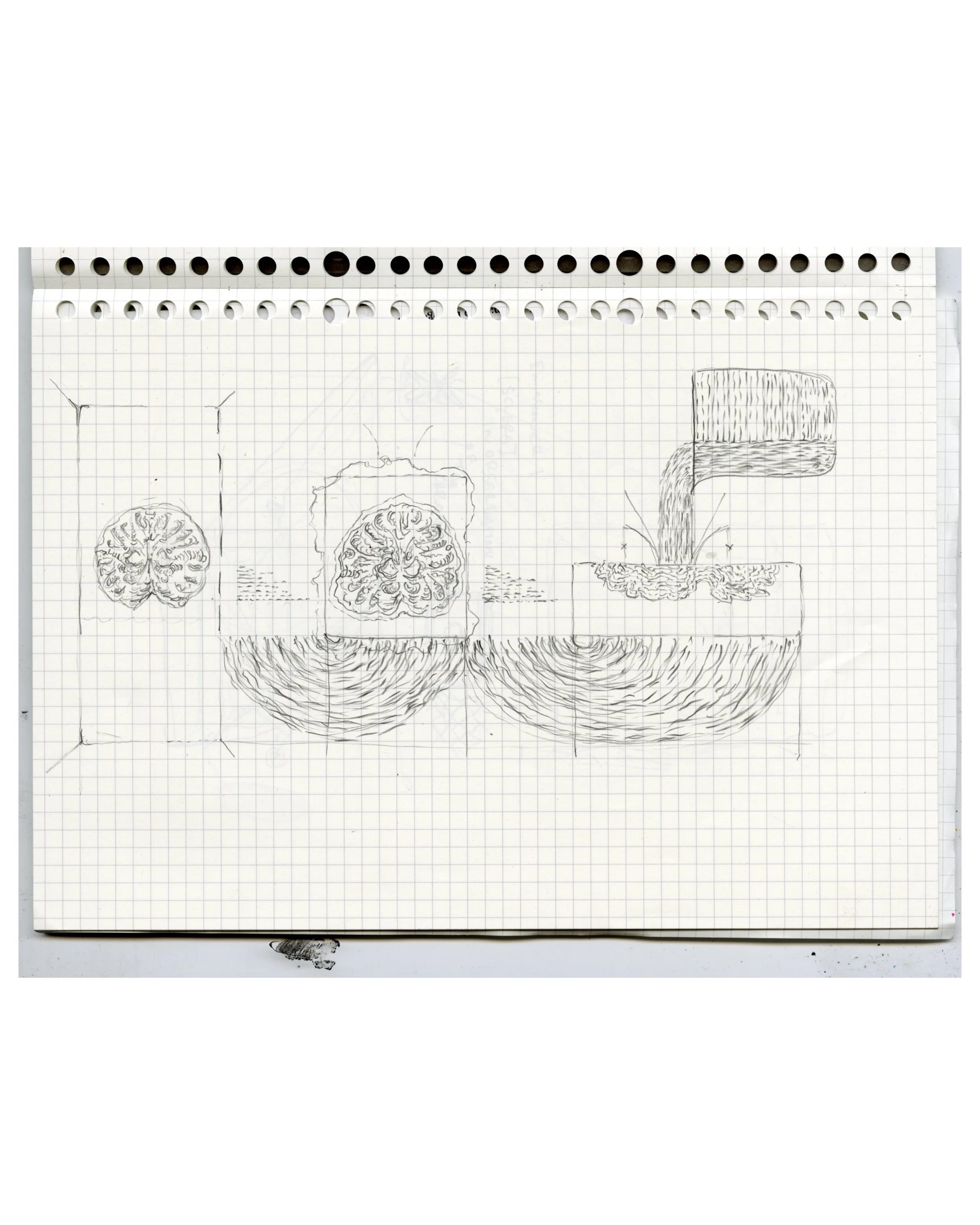 Sketches and Notes I (ig).JPG