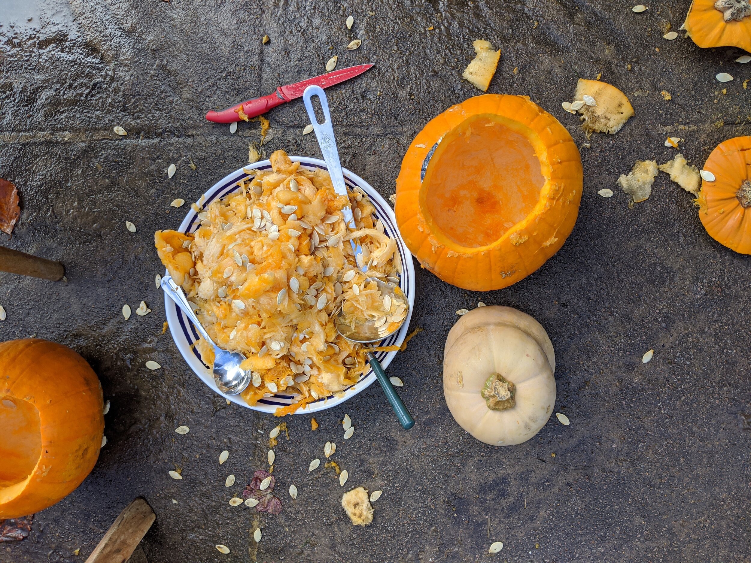 pumpkin innards.jpg