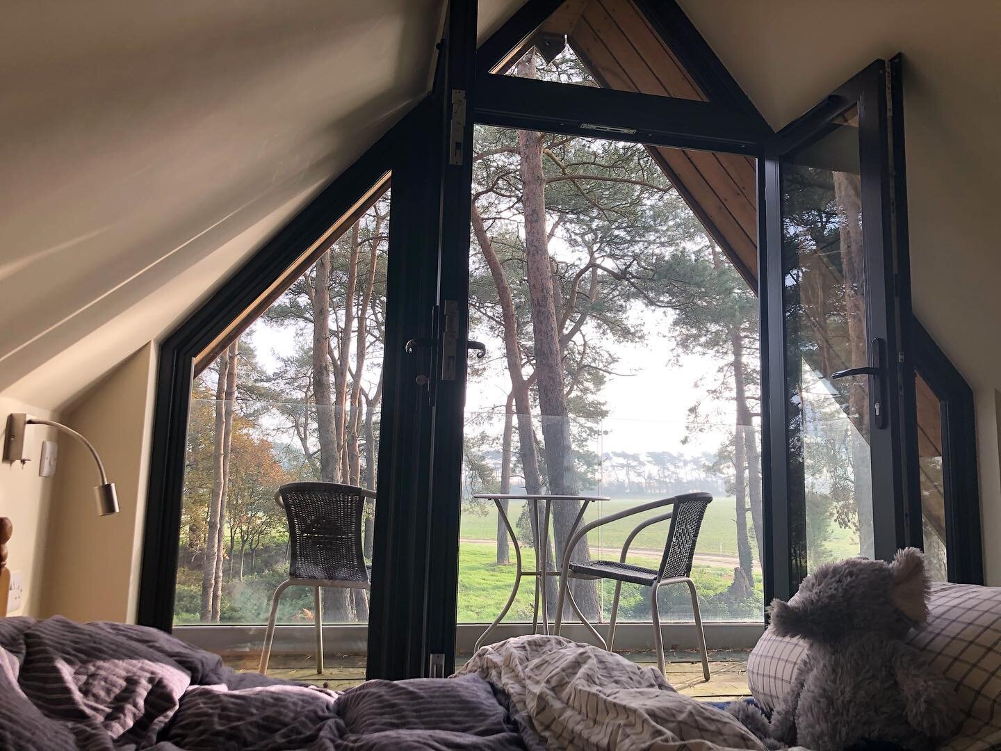 Waking up in the tree tops at Toad Hall
*
*
*
*
#treehouselife #treehousestaysuk #treetopviews #luxuryglamping #winterstaycation #escapetheeverydayathome #norfolkglamping #nevertooold #silversurfer #innerchildtherapy #findyourfun