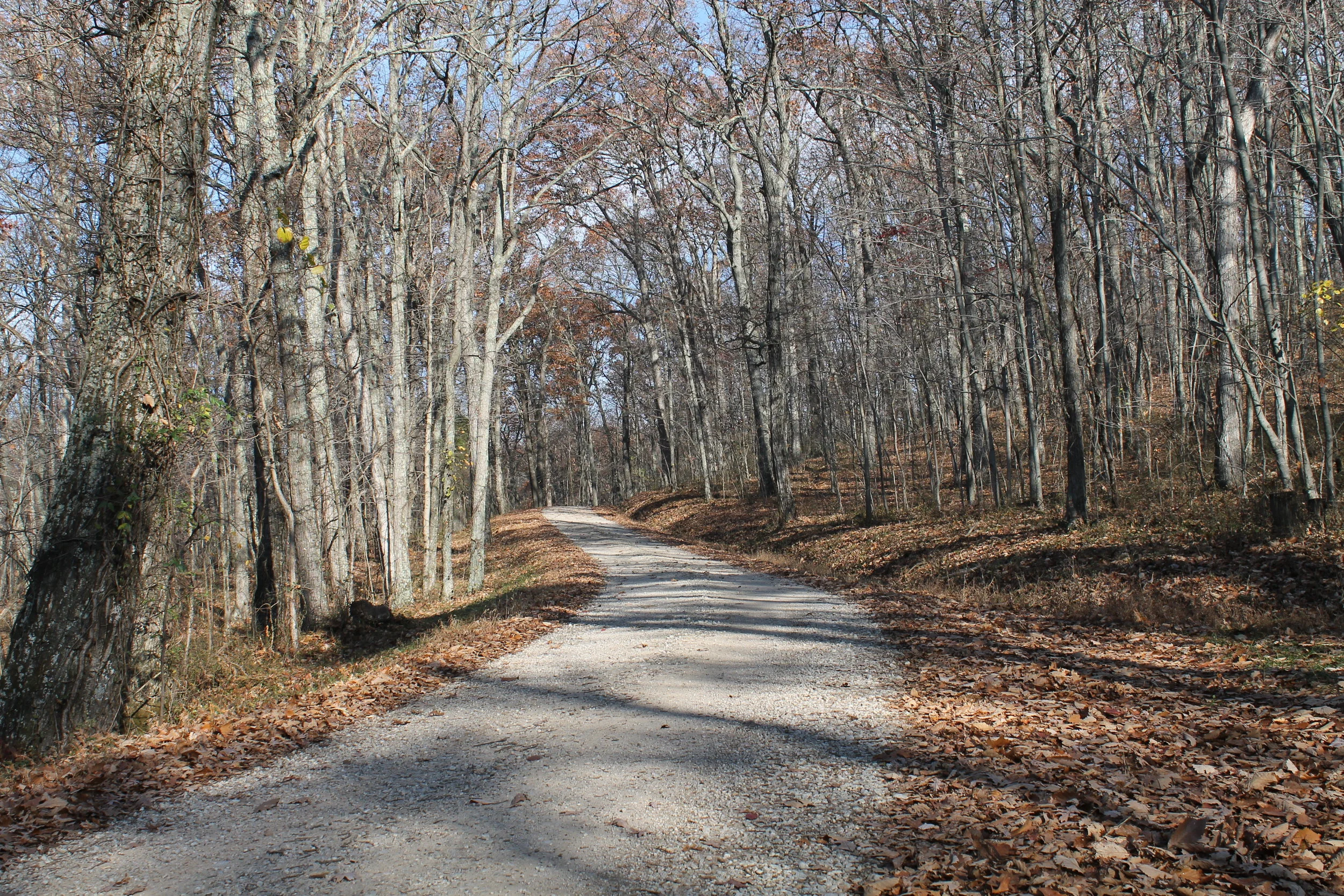 Worker Registration is OPEN via RallyMaster PRO