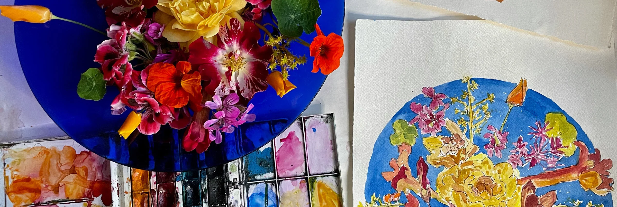 The illustrated Journal of Gratitude Series 12