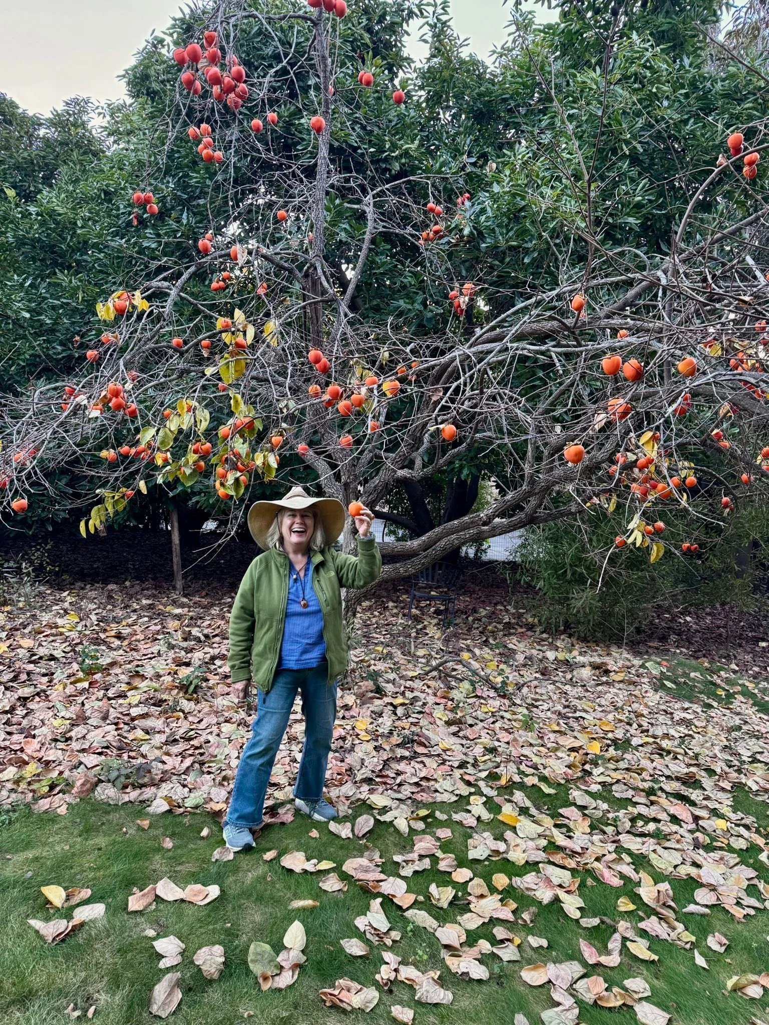 Always a pleasure to make Art with Belle Yang.  especially with this beautiful persimmon tree in Carmel Valley. What a delight.. 🧡🧡🧡🧡 it is so important to grab the joy and have at least one good dose every day.!!