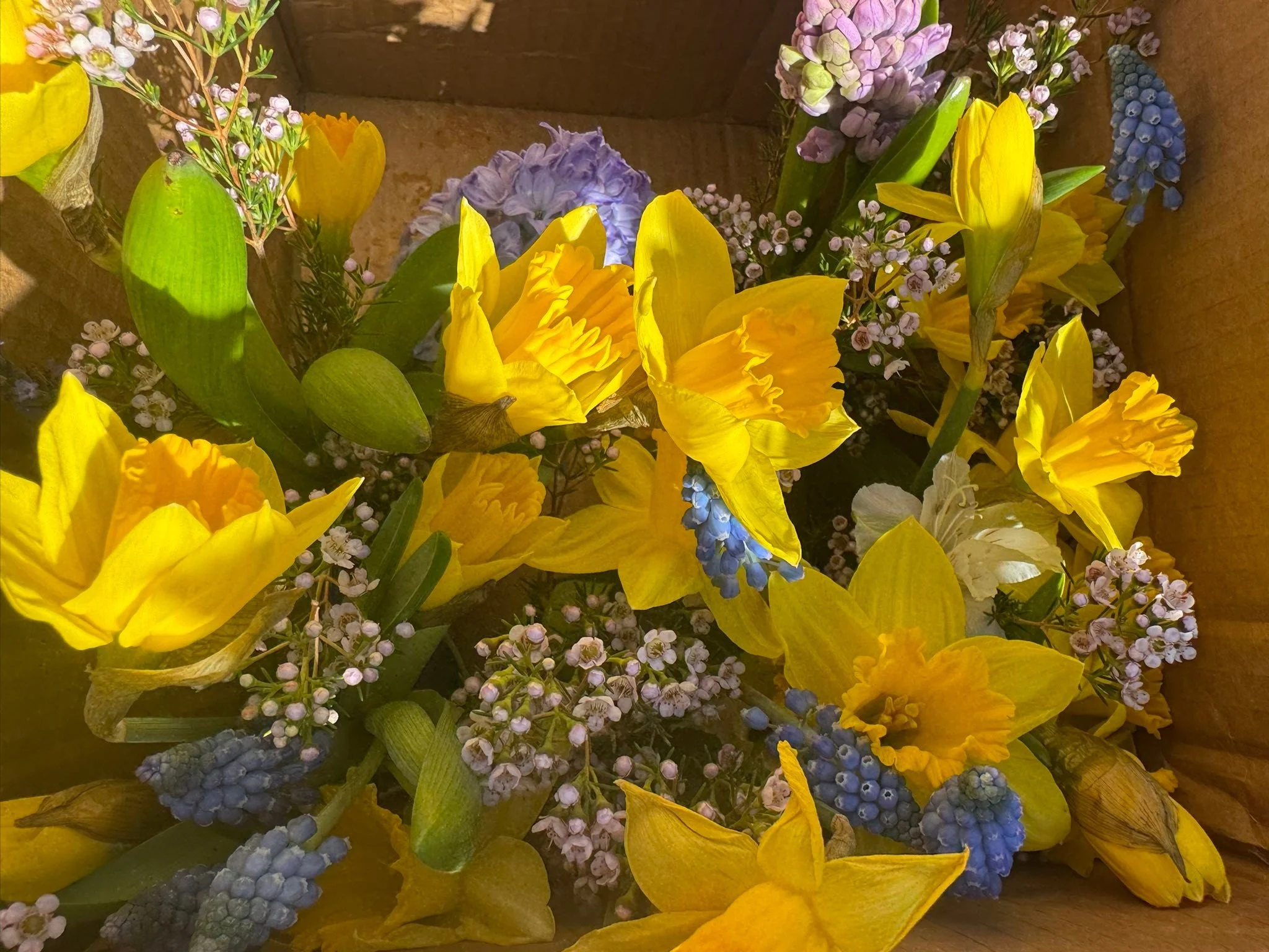 🌼🍃🖼️🎻🎶🌱🍃🌷🌿🌱🖼️🍃🎻🍃🌸💚🧚🍃🌼I&rsquo;m excited to celebrate spring tonight with my art show opening at Sunset Cultural Center Marjorie Evens Gallery from 5-7! Art, Music, Dance, community &amp; joy! 🌼🧚🧚🎻🎶🖼️🎻🌼🧚🖼️🌿