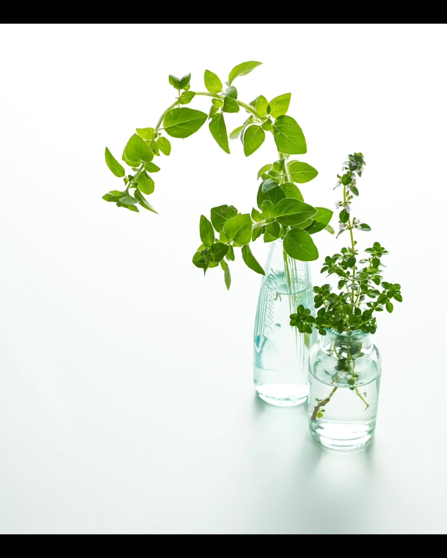 Have you planted your #spring #herbs yet? Tell us what you&rsquo;re growing in the comments below 👇