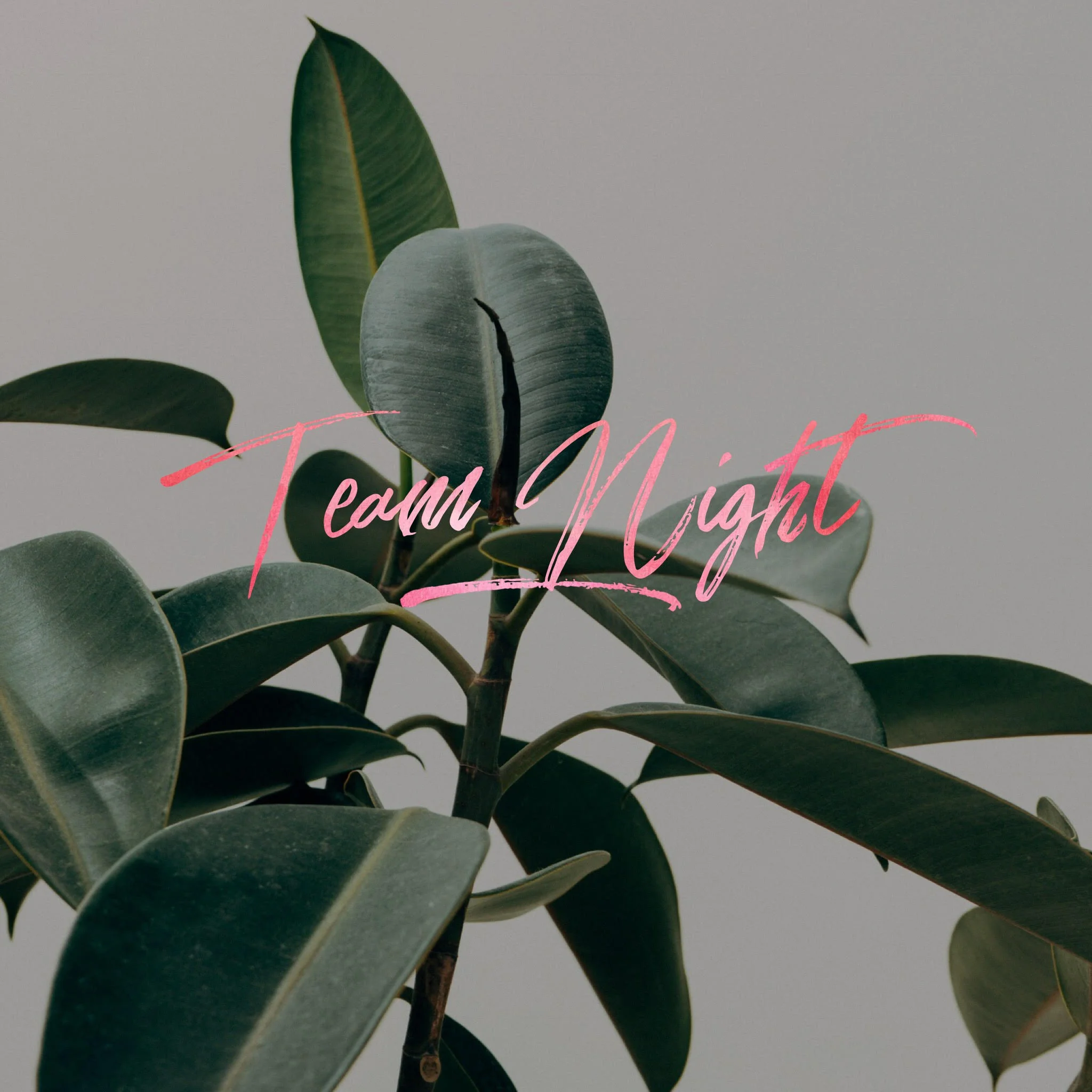 Team Night Dinner Party!