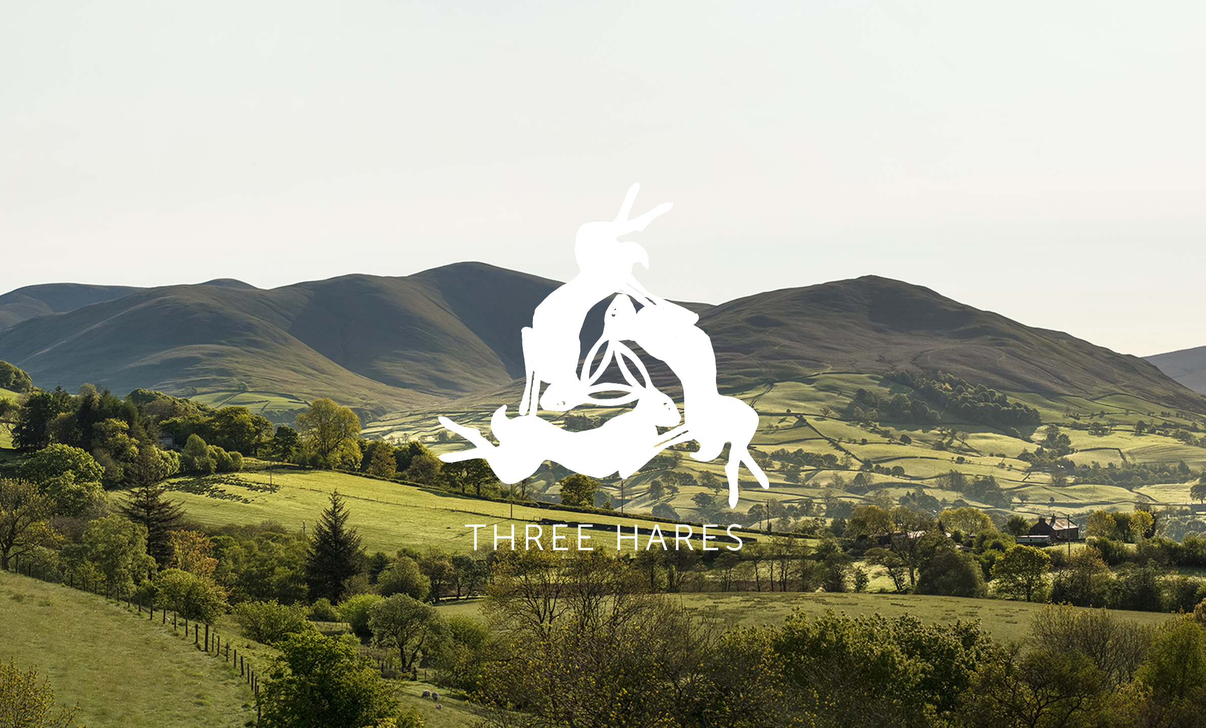 TH-branding.png