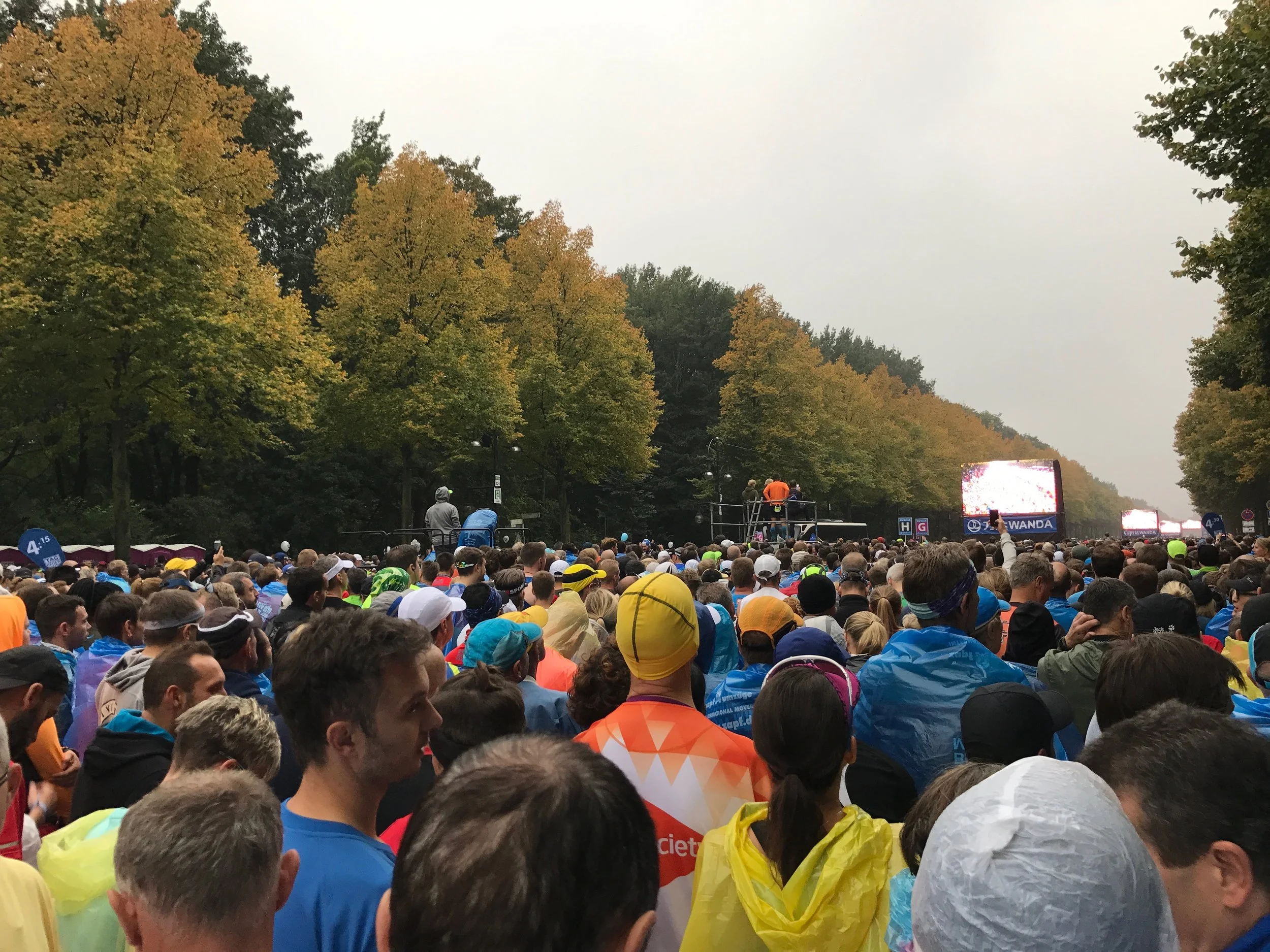 File 29-09-2017, 15 13 31.jpeg