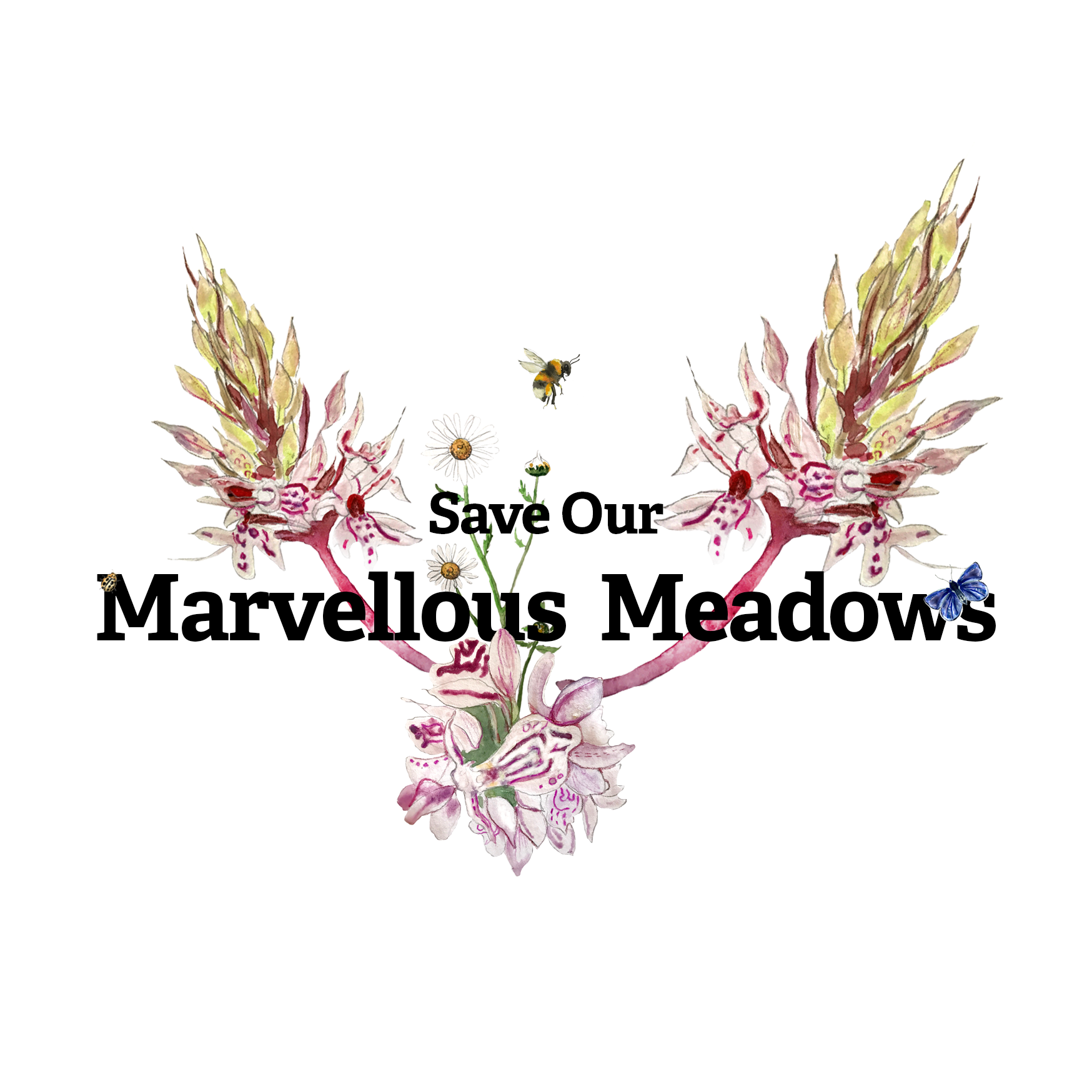 logo-on-white.png
