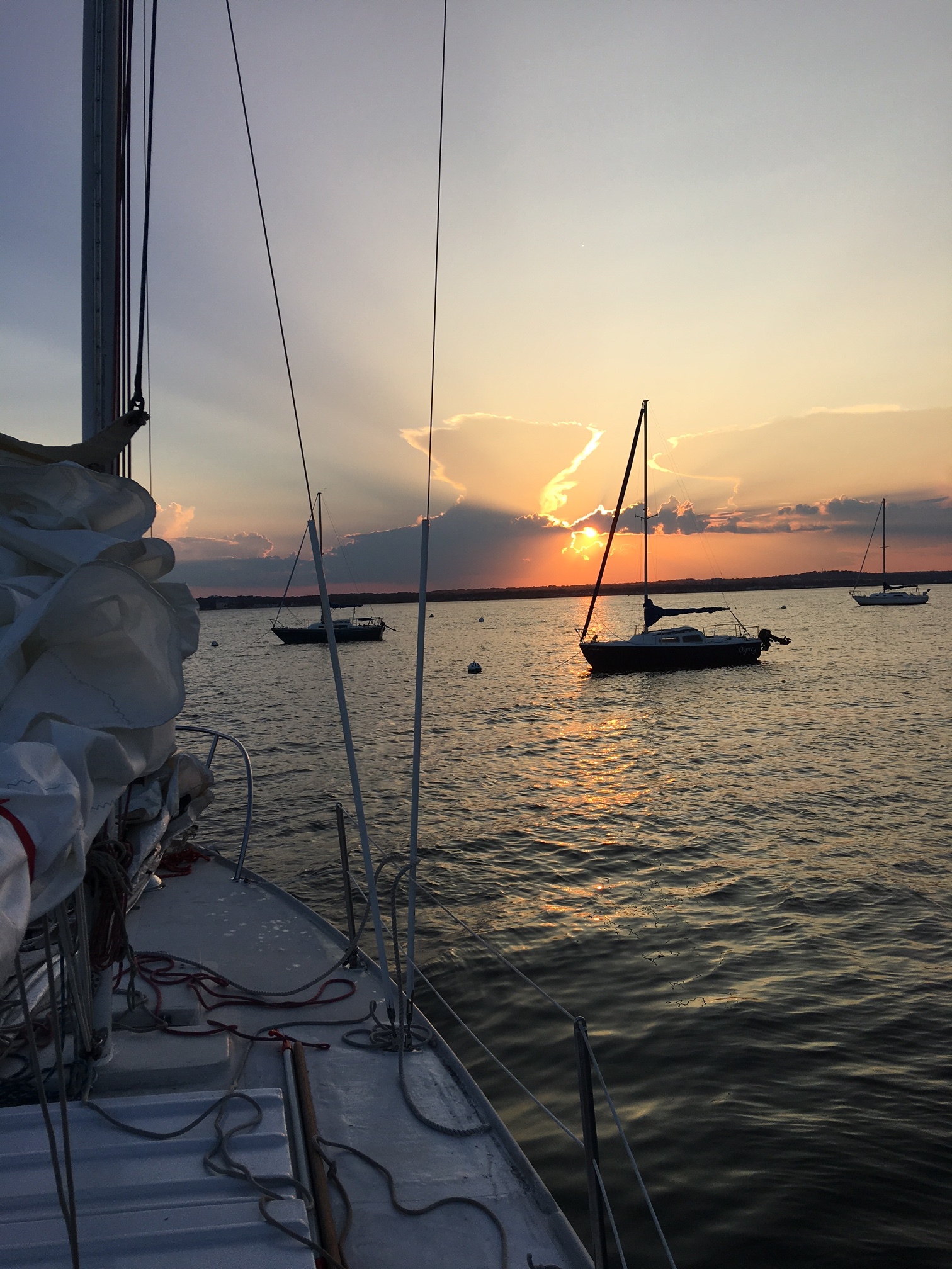 New Haven Yacht Club sailboats photo 17