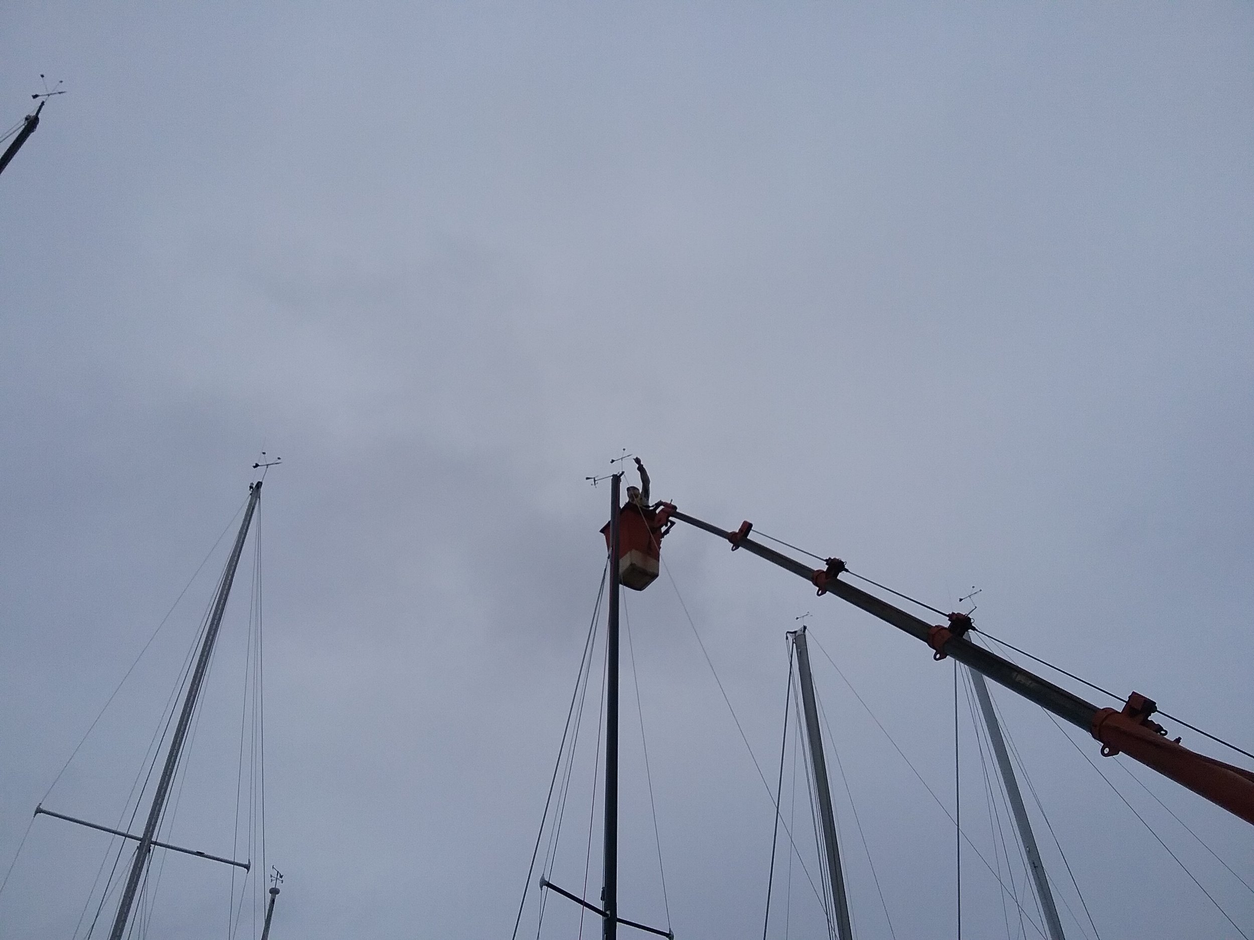 New Haven Yacht Club masts up