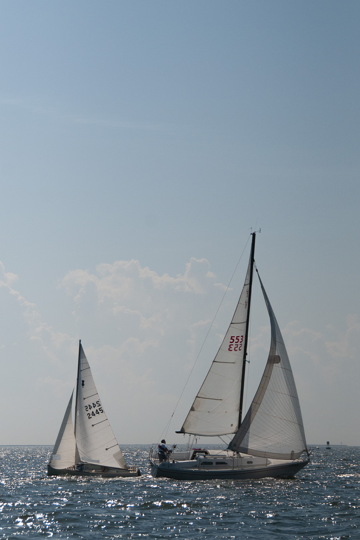 New Haven Yacht Club sailboats photo 2