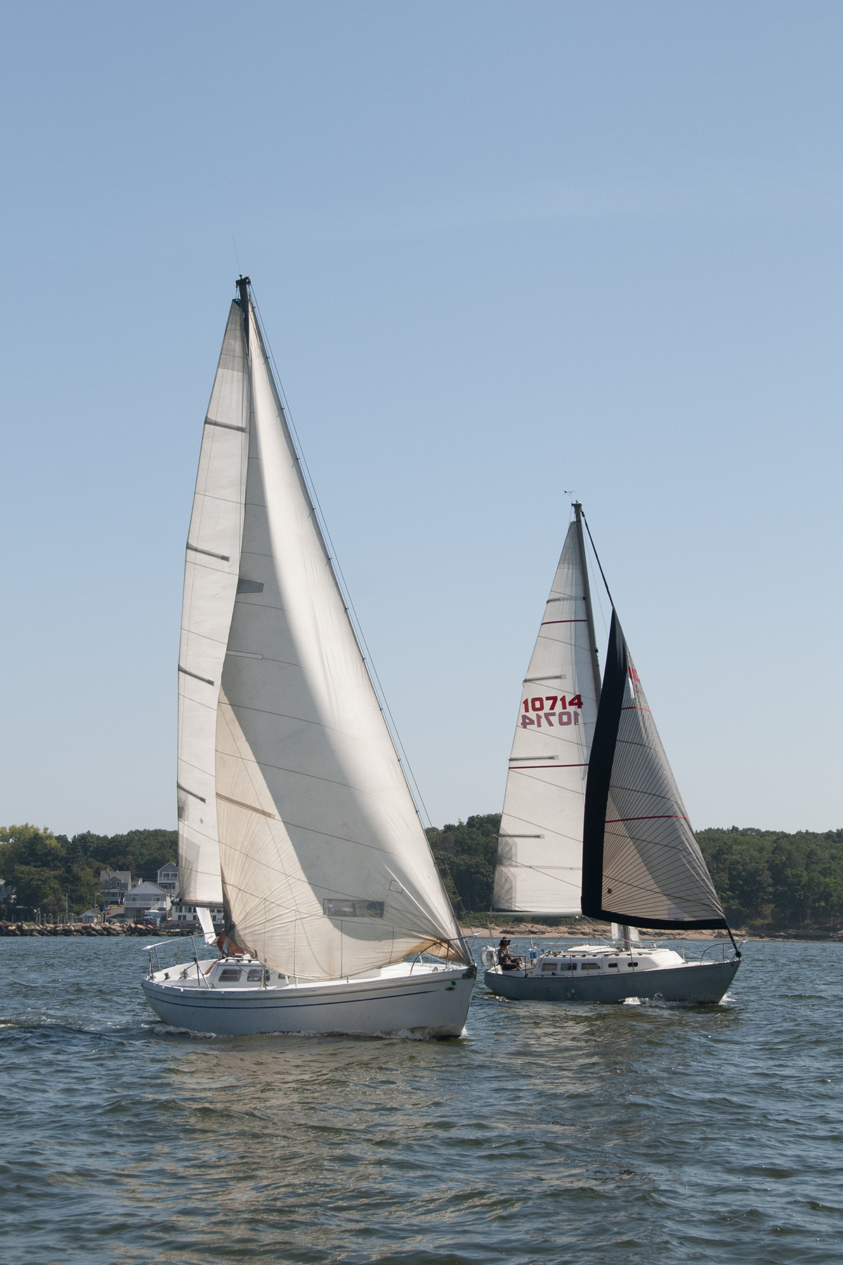 New Haven Yacht Club sailboats photo 3