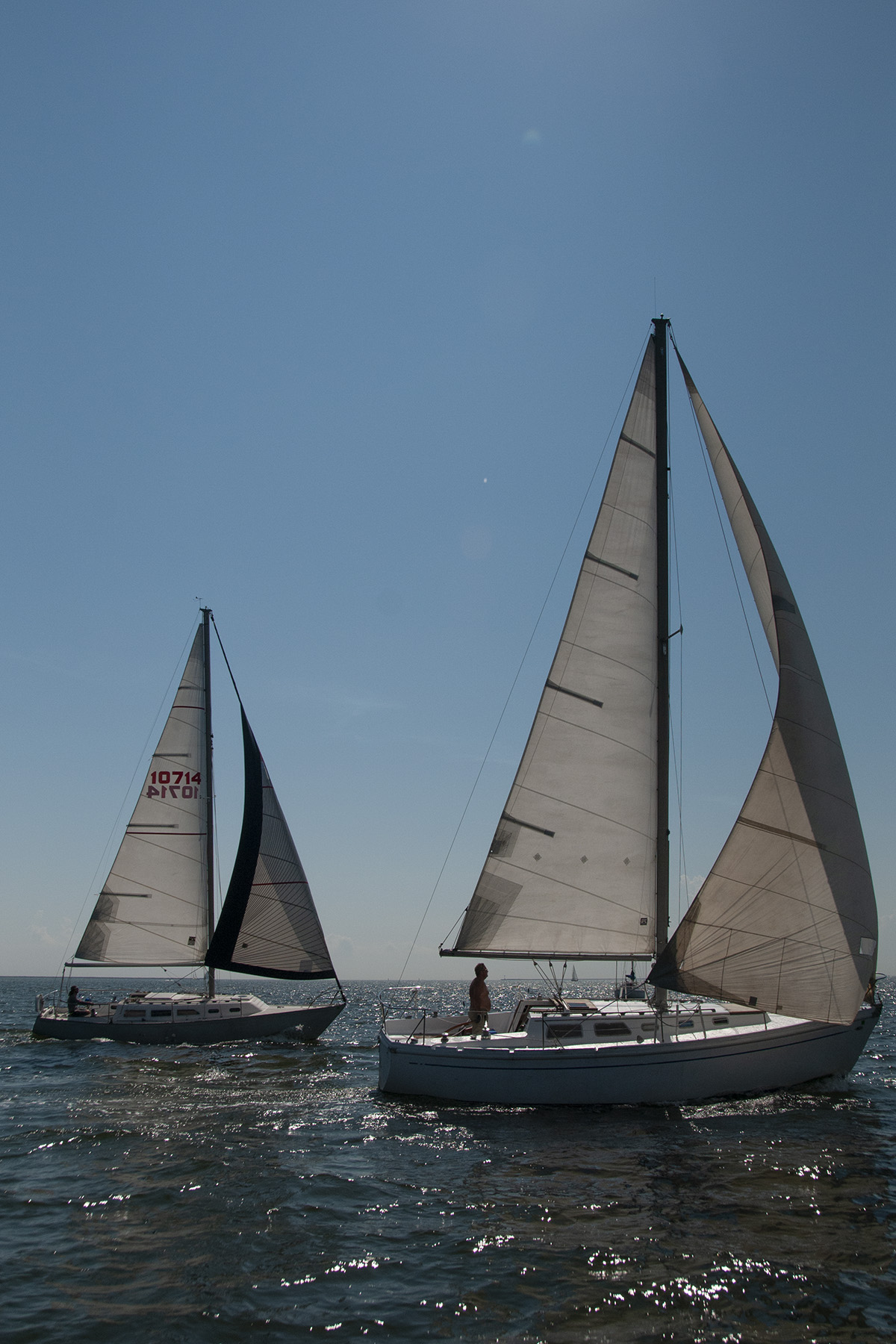 New Haven Yacht Club sailboats photo 4
