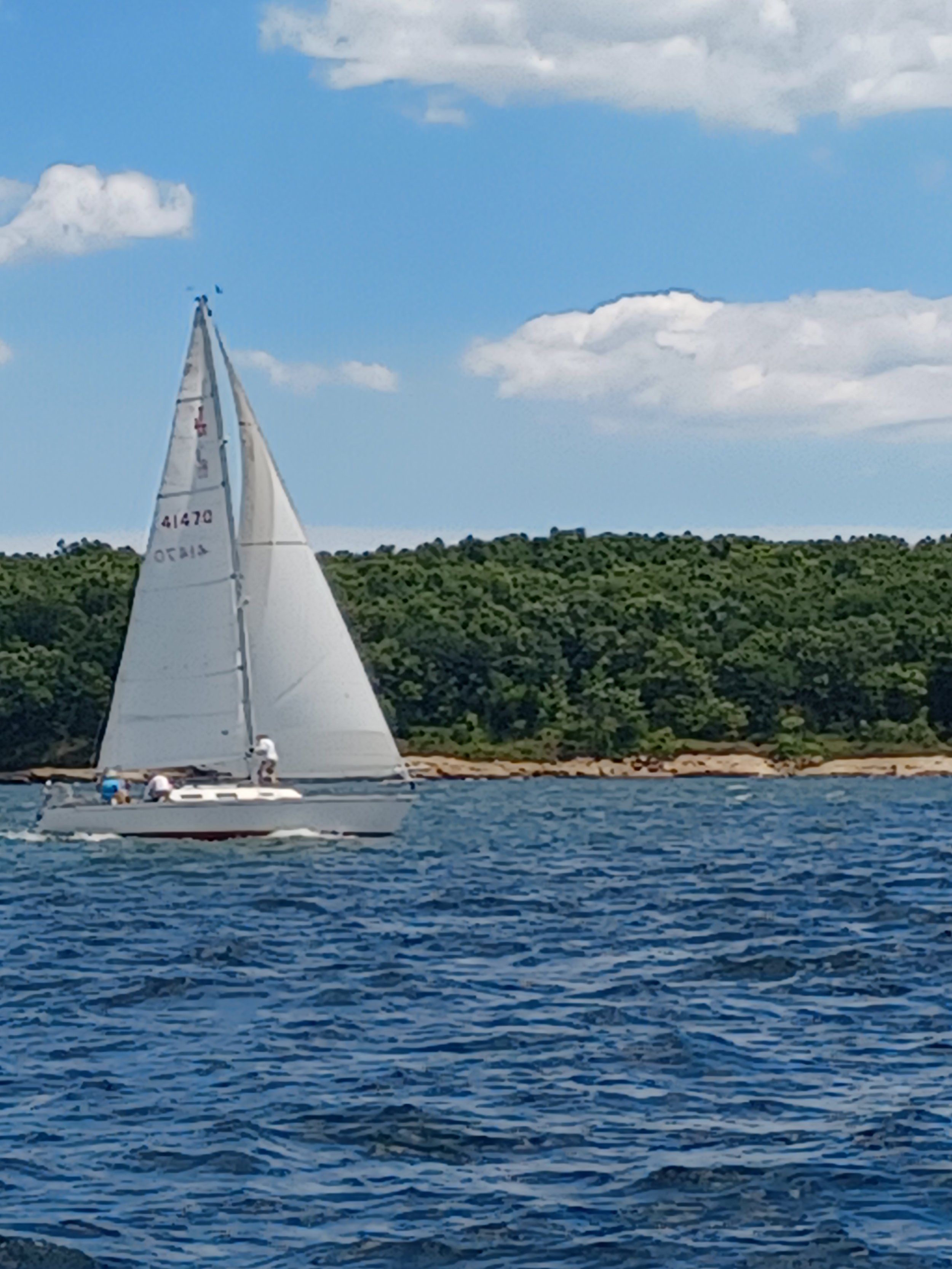 New Haven Yacht Club sailboats photo 11