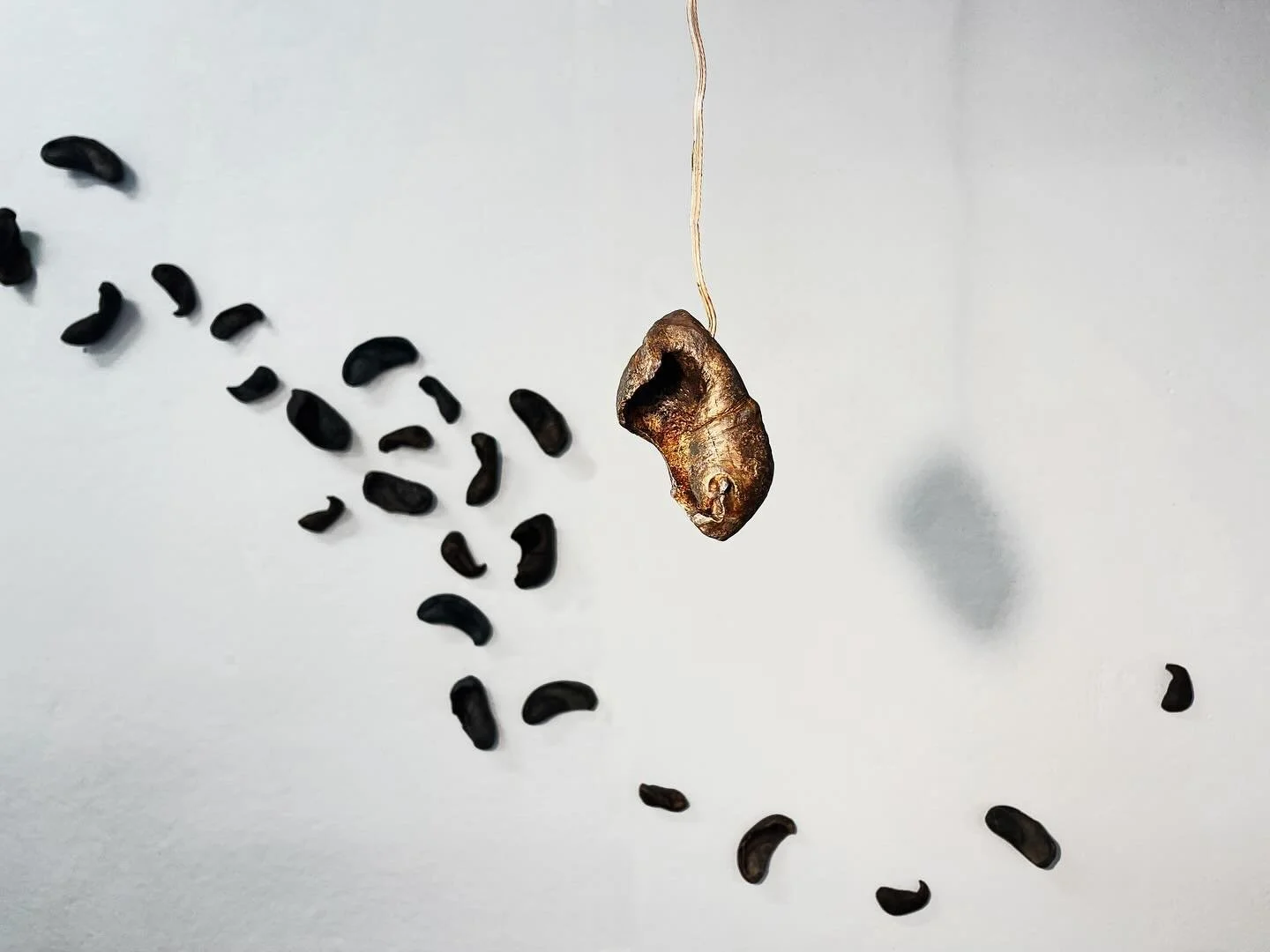 Hold me, Press me, Hear me is series of cast sculptures of the inner ear bones of whales that transmit imagined whale sounds through bone conduction, a process of transmission that requires touch. These artifacts from the whale&rsquo;s unknowable wor