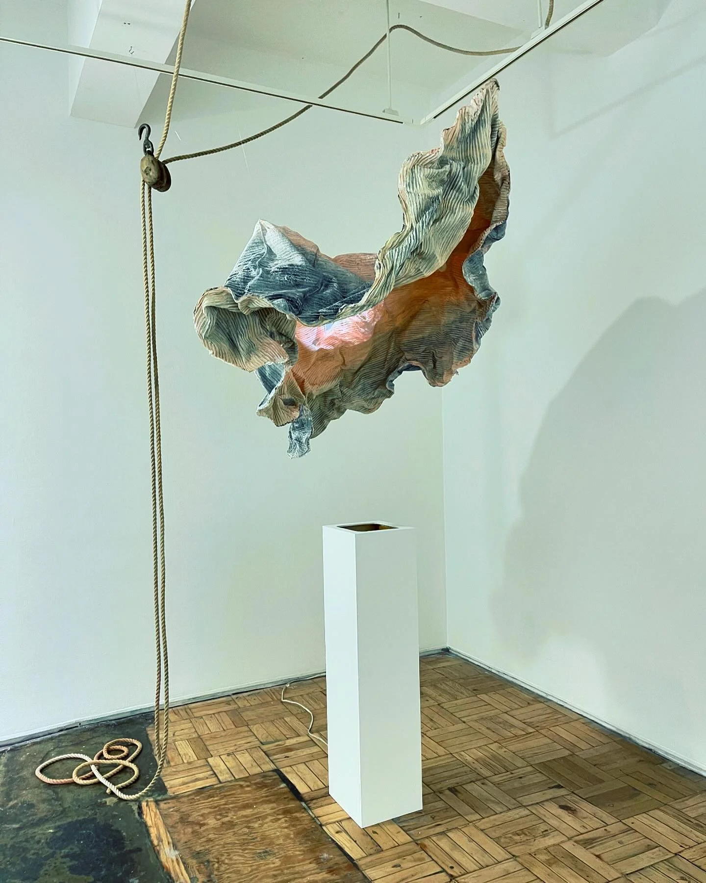 Skin Ego, latex, fabric, wire, pigment, found objects, video projection, 2024

 👀 @airgallery through July

Skin Ego is a sculptural and video installation that metaphorically reenacts the viscerally poignant moment of a whale&rsquo;s necropsy as a 