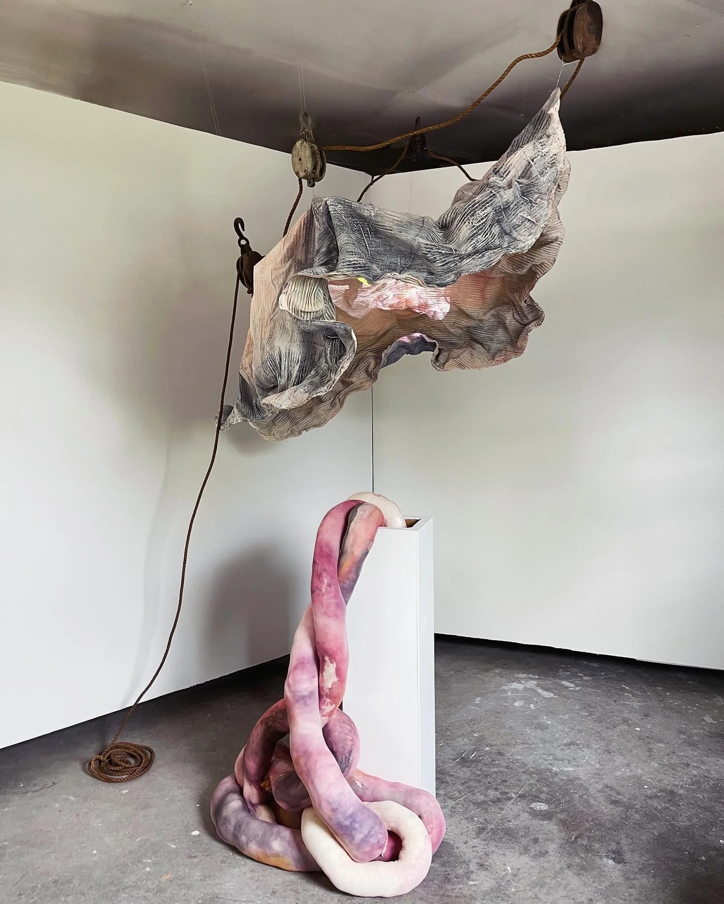 I&rsquo;m pumped to show this newest iteration from my project, Skin Ego, included in the group show &ldquo;&lsquo;Write me Letters&rsquo; you write to me&rdquo; opening tonight at @airgallery along with 18 other amazing women. I&rsquo;m in gallery I