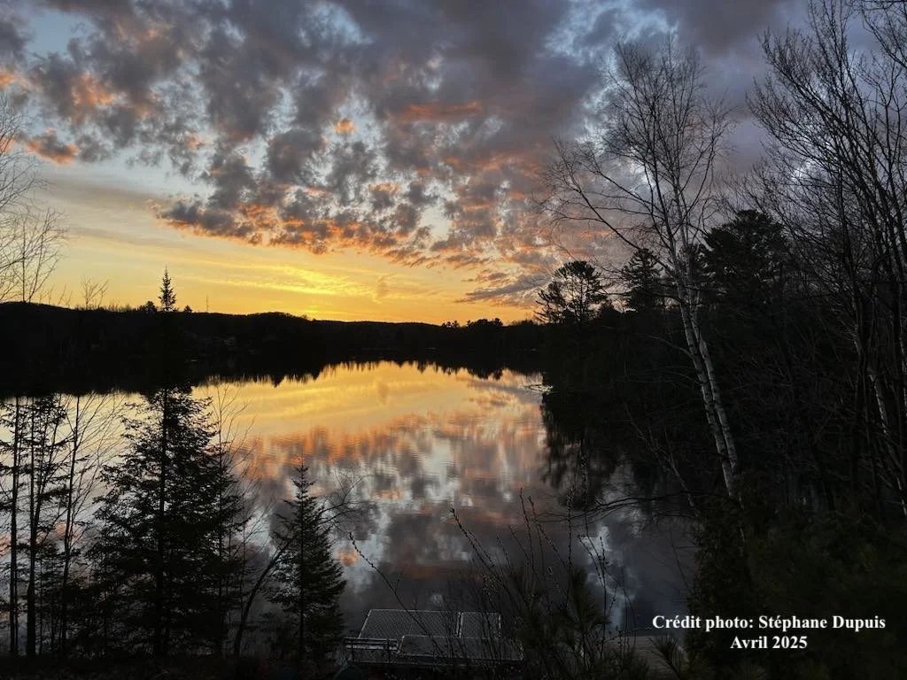 Dupuis Stéphane copie.JPG