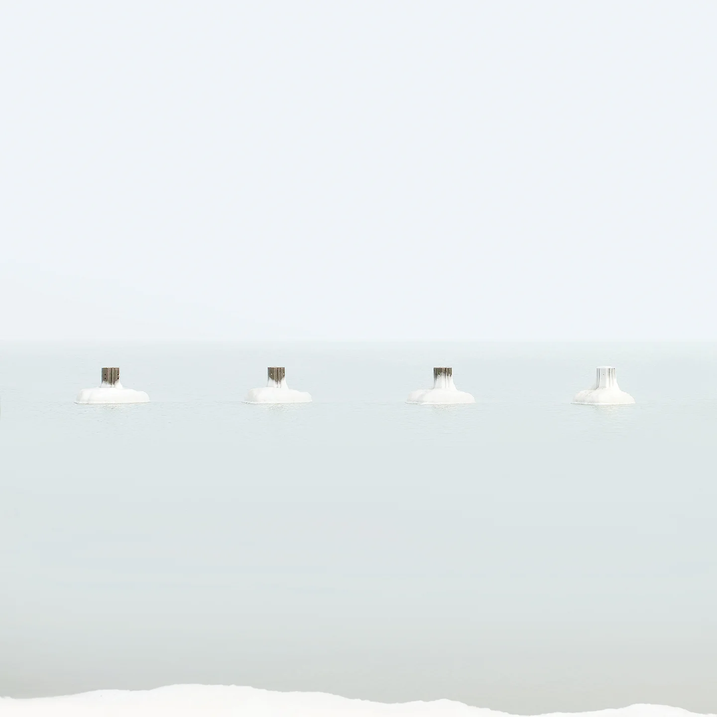 Symbiosis #30