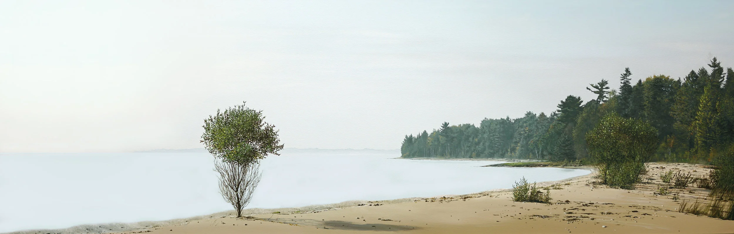 The Cove