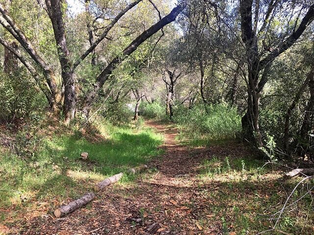 Sold in Auburn CA for $170,000. Lot 054 Foresthill Ave. 
This beautiful lot in Auburn sits on 1.2 acres of vacant land and ready for my buyers to build their next home. 
Congratulations once again Lisa and Erik! 🏡⛰🙌🏼