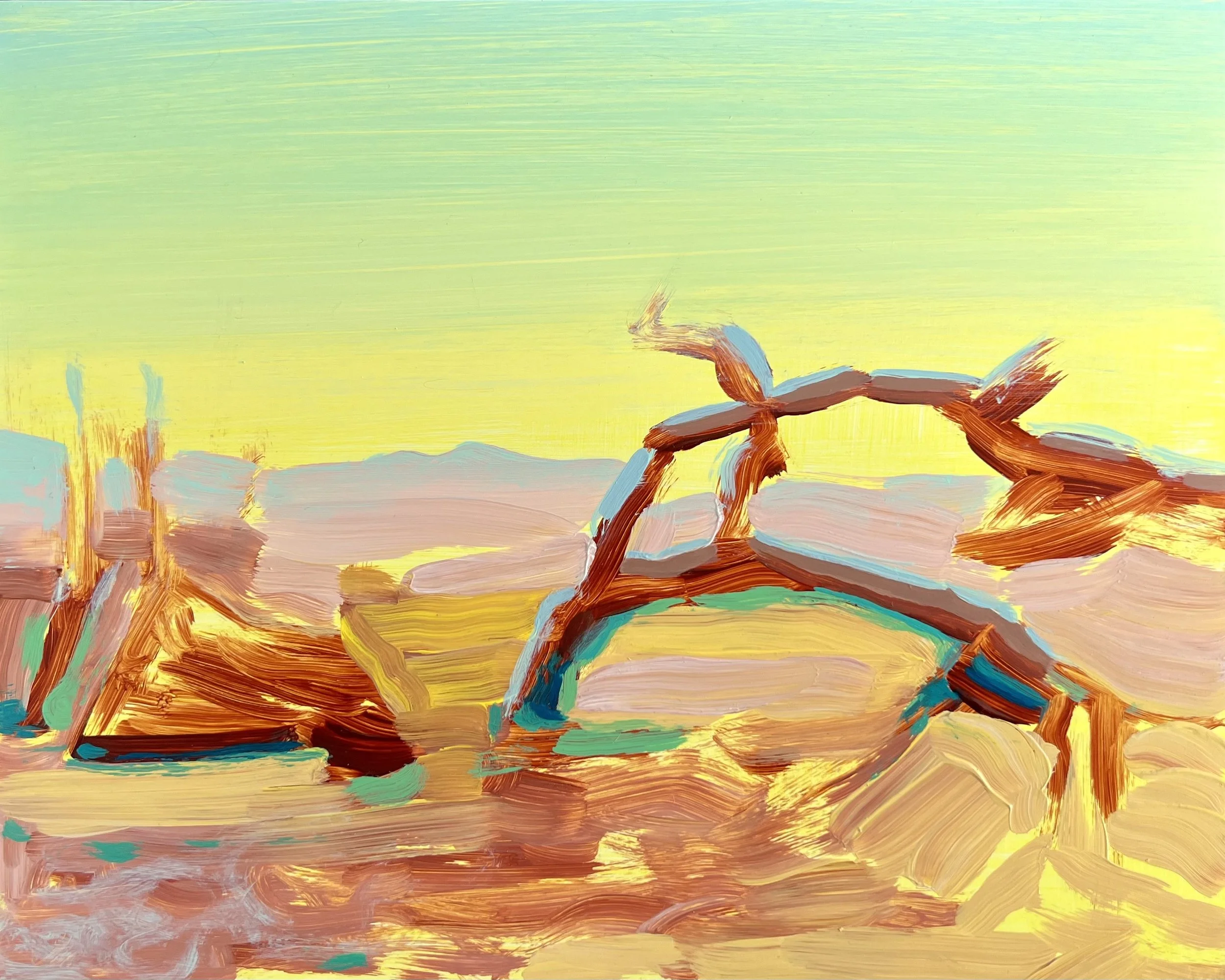 Sticks in The Yellow Desert.jpg