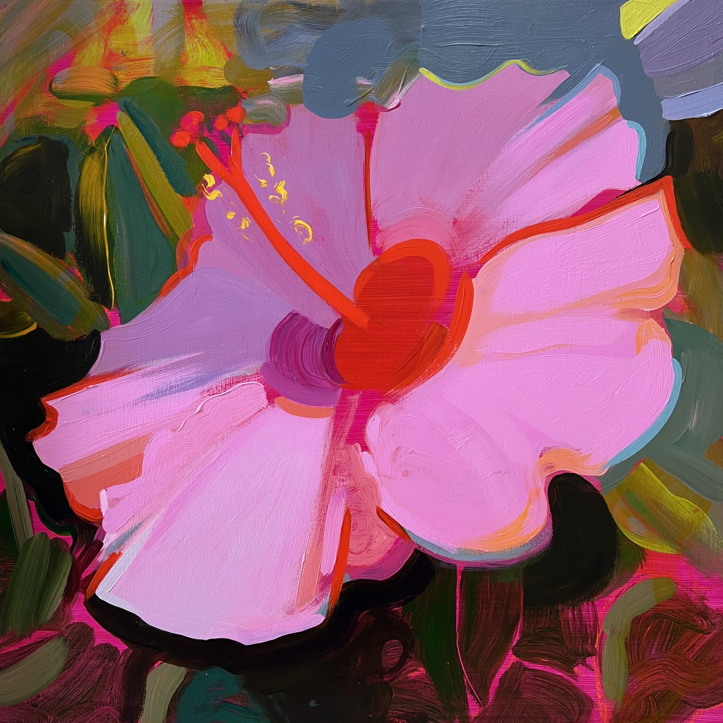 HIbiscus in July.jpg