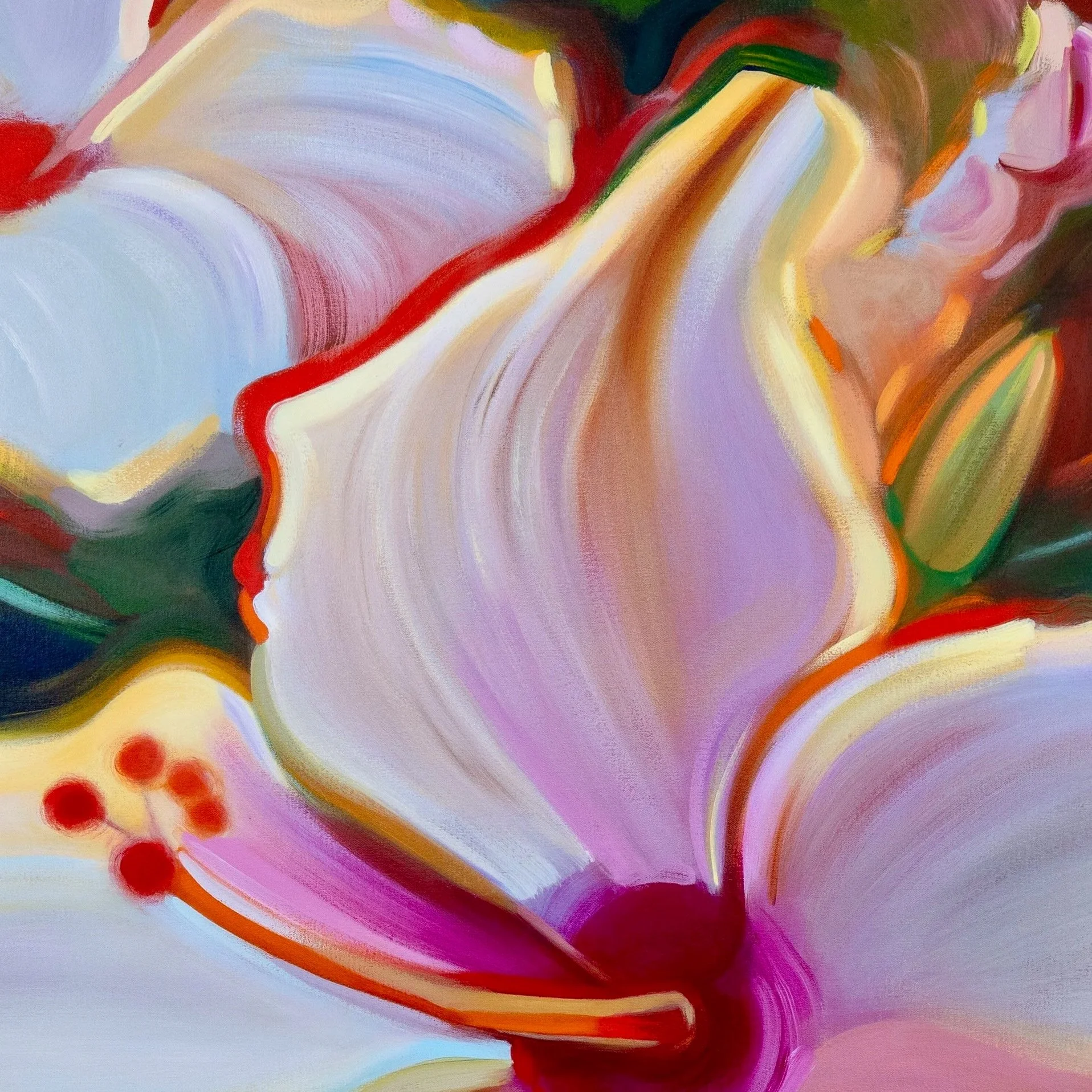 White Hibiscus Petal.jpg