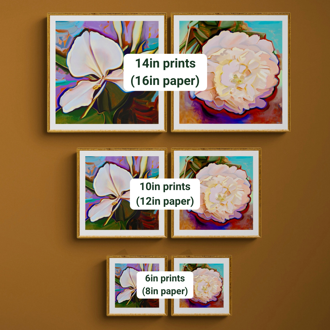 White Flowers All Sizes 31 26 23.png