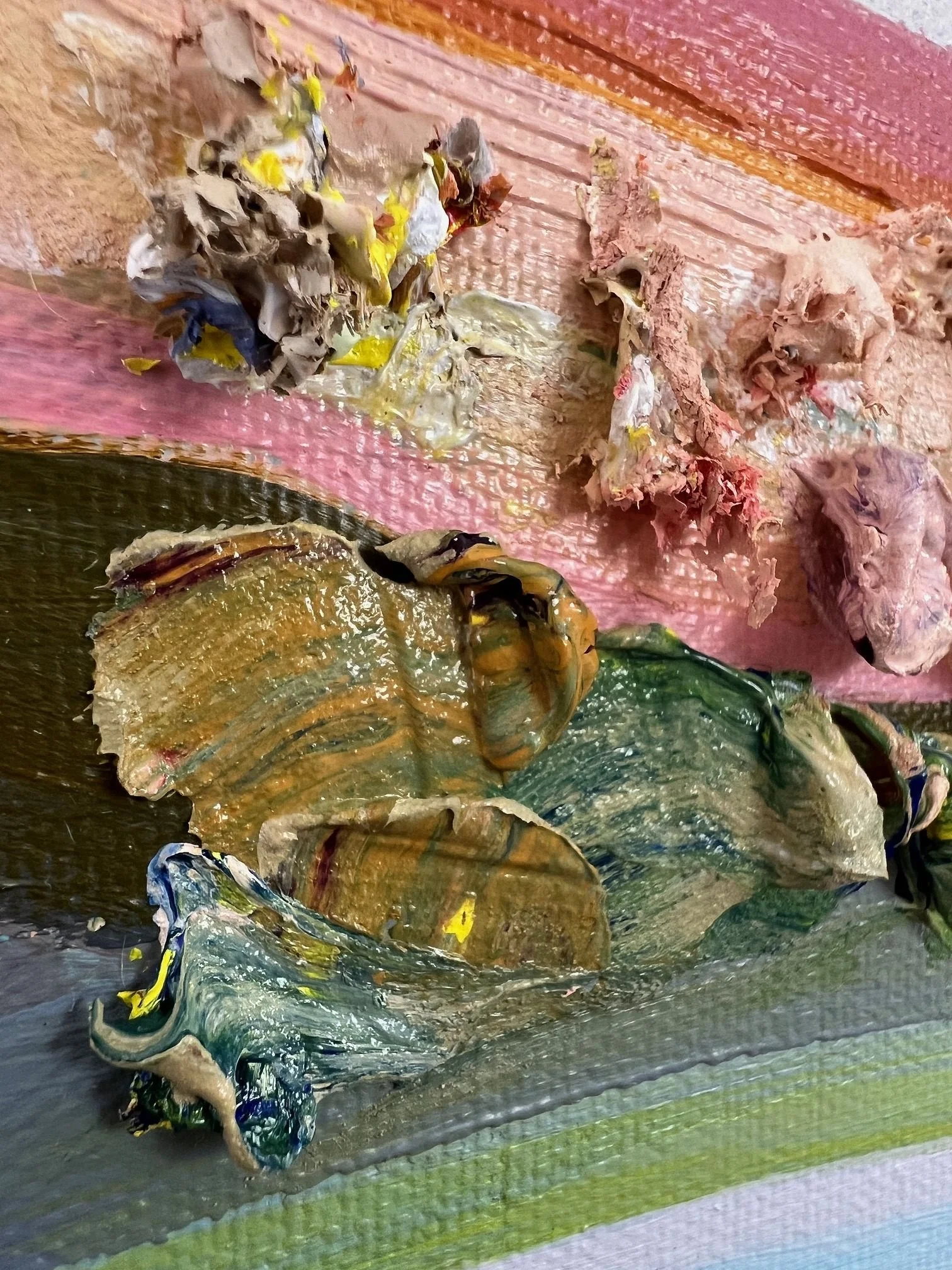 Reflections Fleshy Detail Close Up.JPG