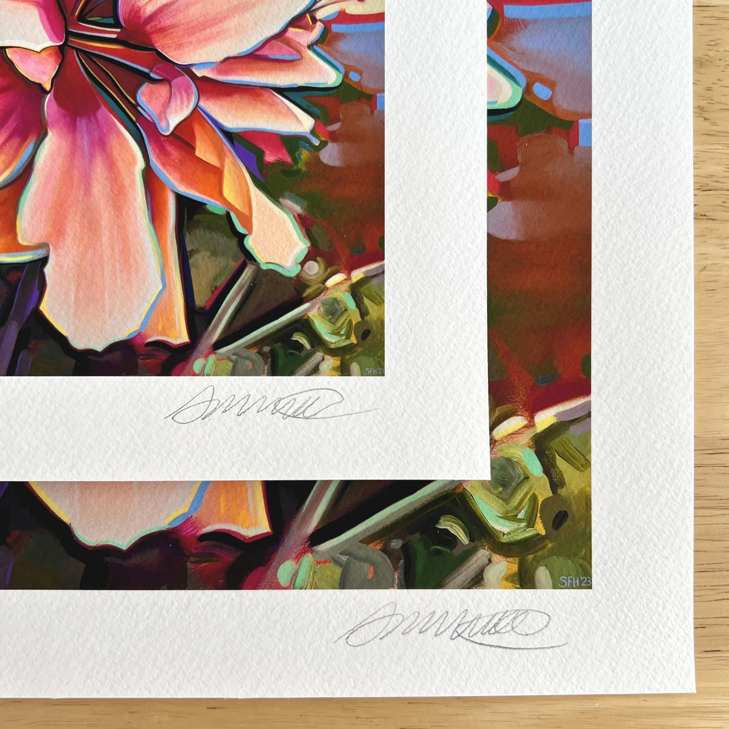 IMG_6277.jpg