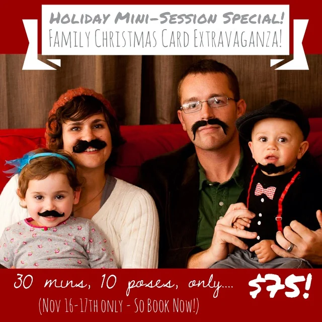 Holiday Mini-Session Special!