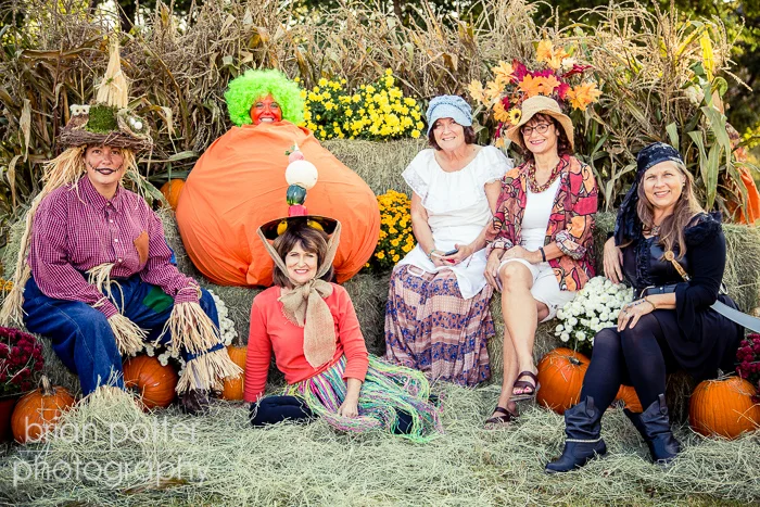 Fall Festival Preview