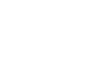 OZON PFORZHEIM