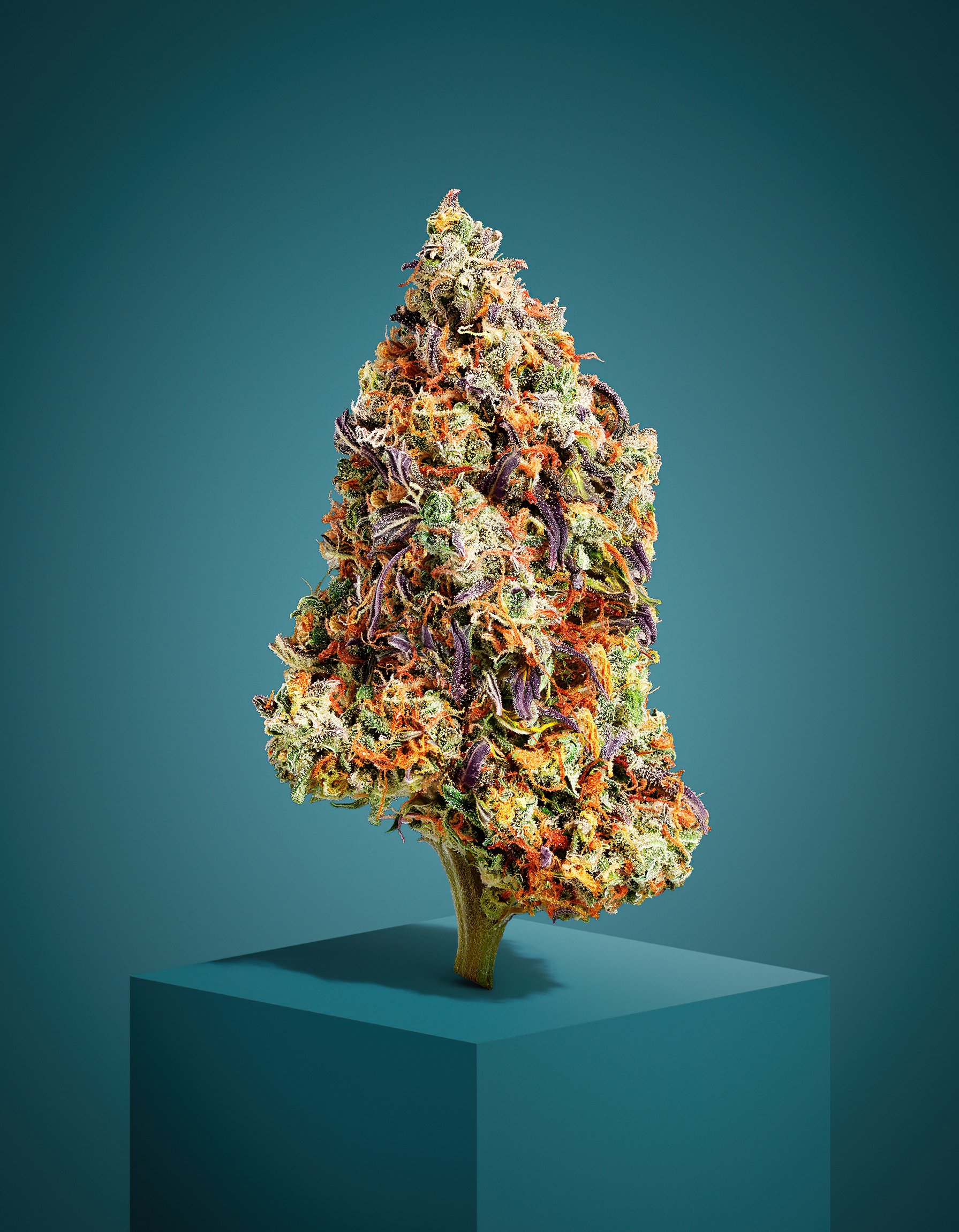 Cannabis_Bud_Plinth_v1.jpg