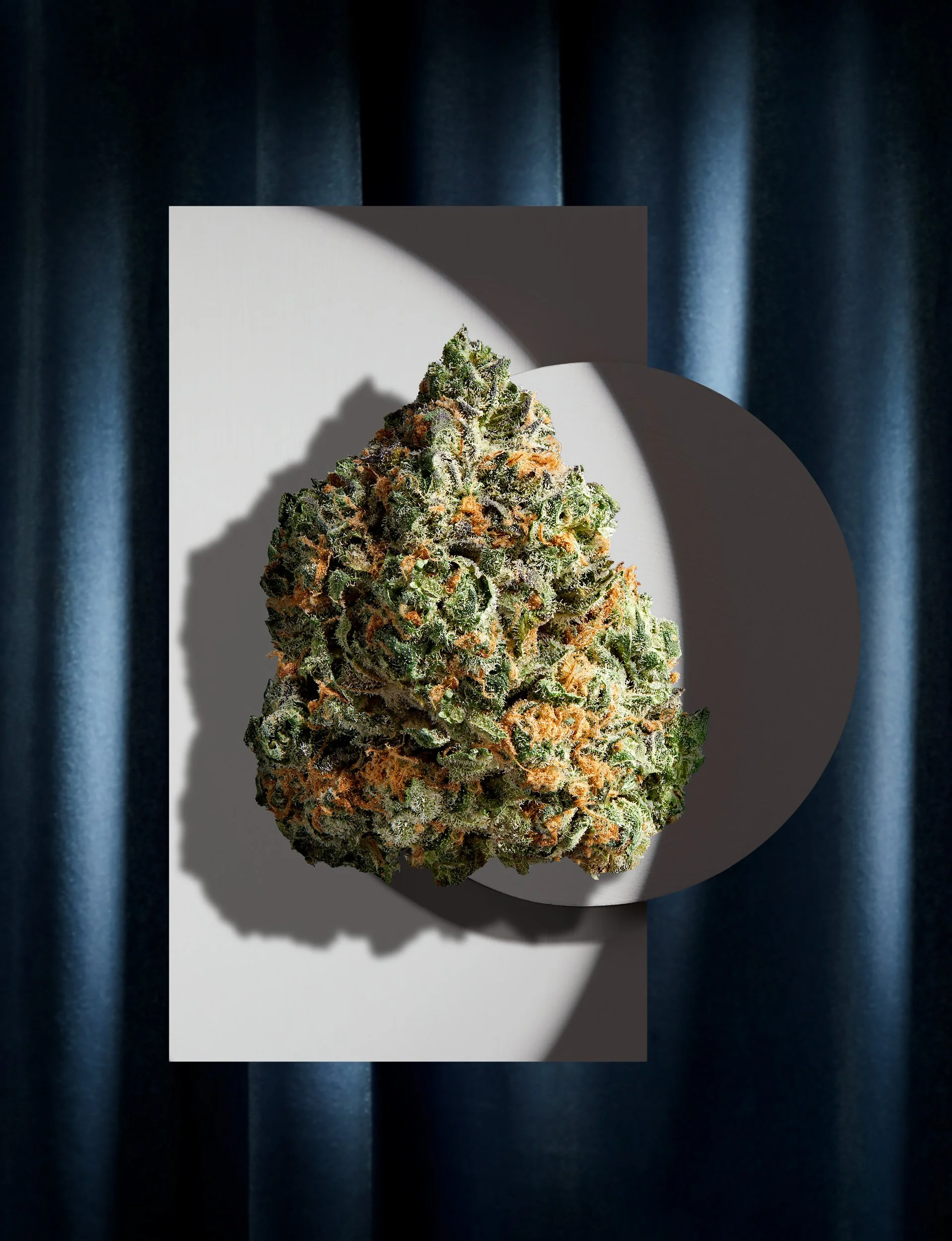 Adam Krauth Photo - Commercial Photography - Boston, MA - Still Life - Product Photography - Close-up of a cannabis bud placed on a white circular surface with a dark curtain background.