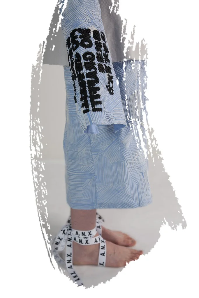 Ann Xiao Hero Image.jpg