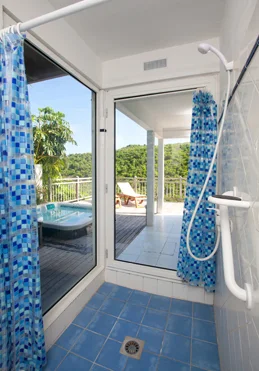 Master Shower View to Jacuzzi