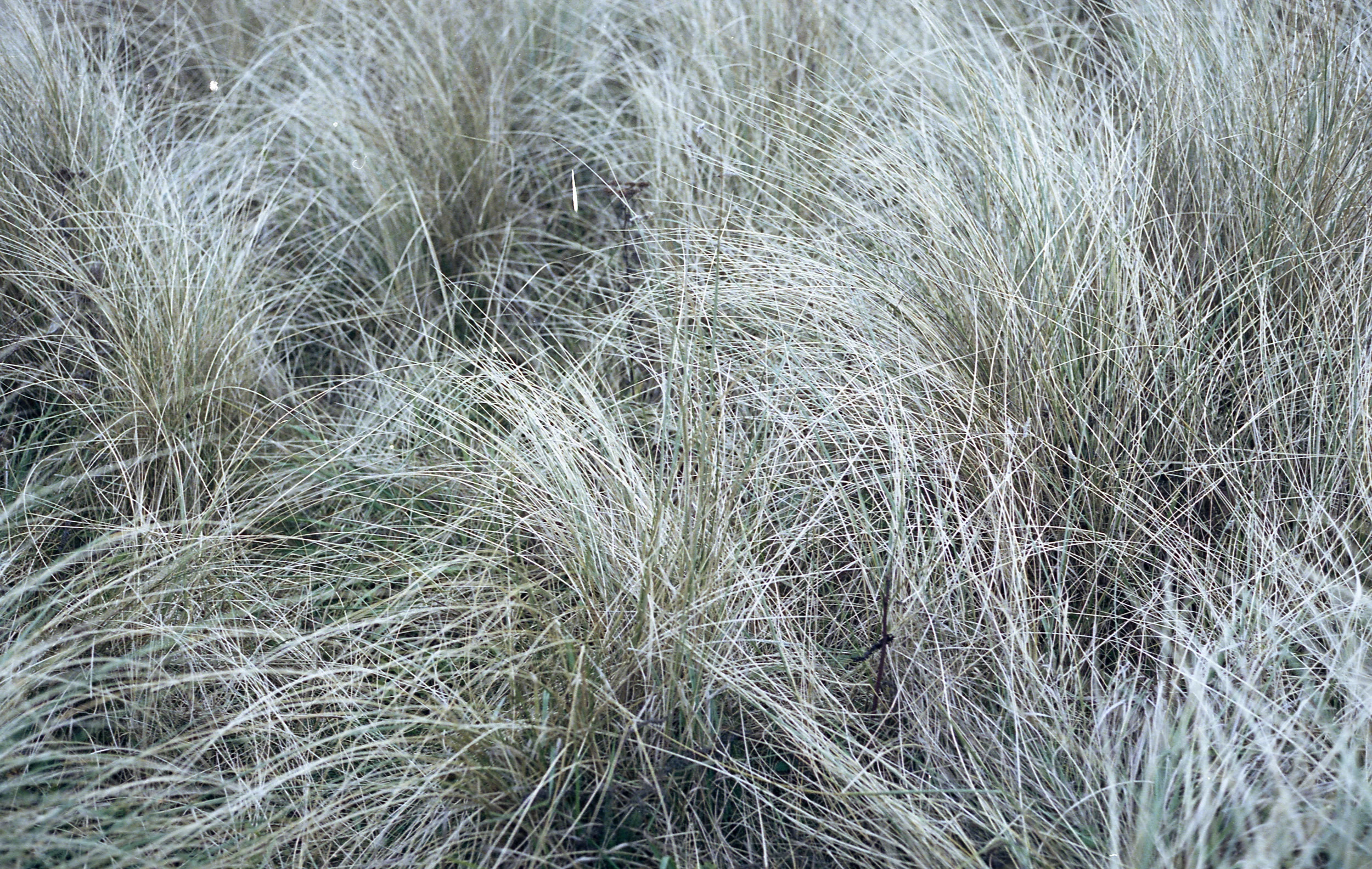 blythb4.jpg