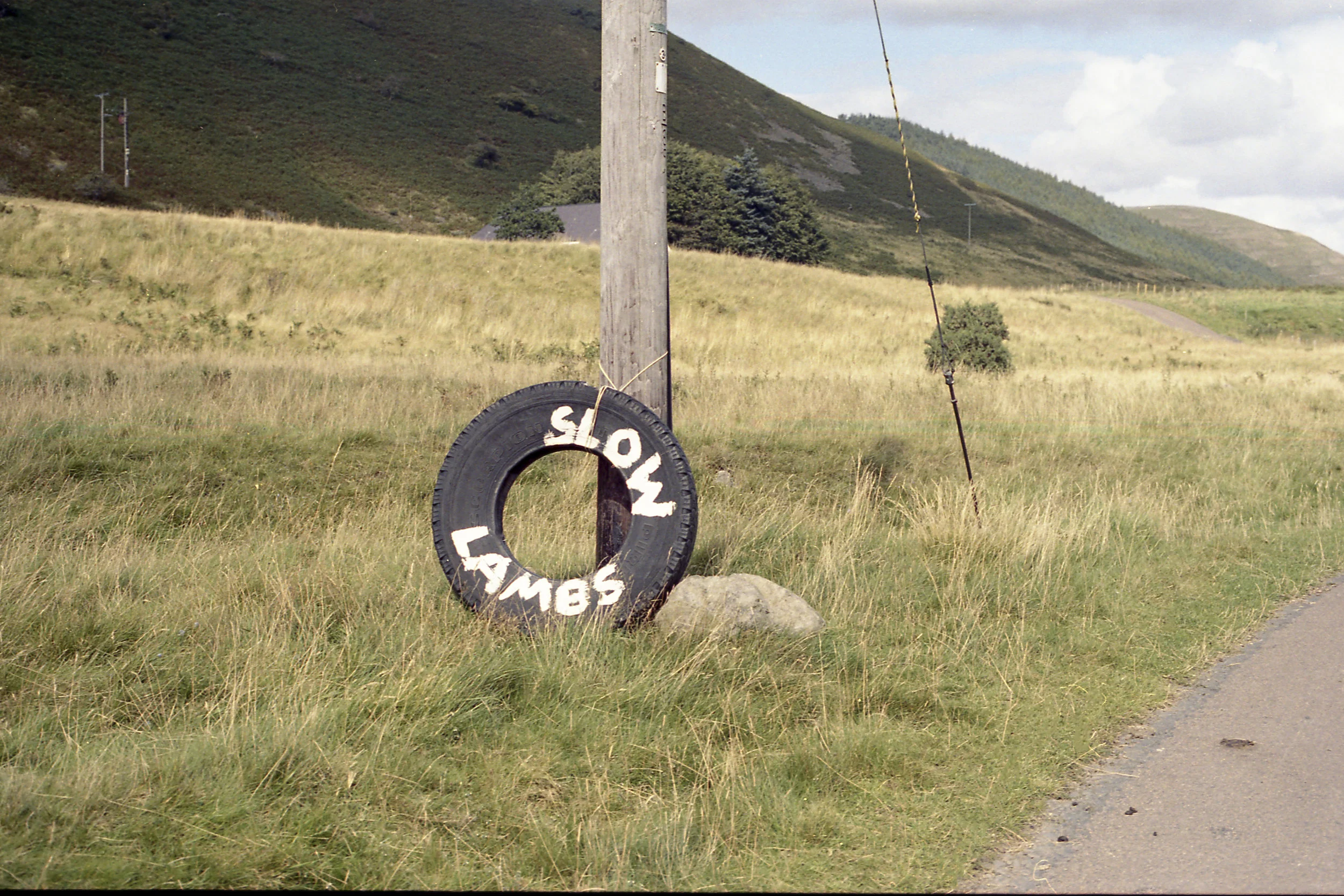 h10.jpg