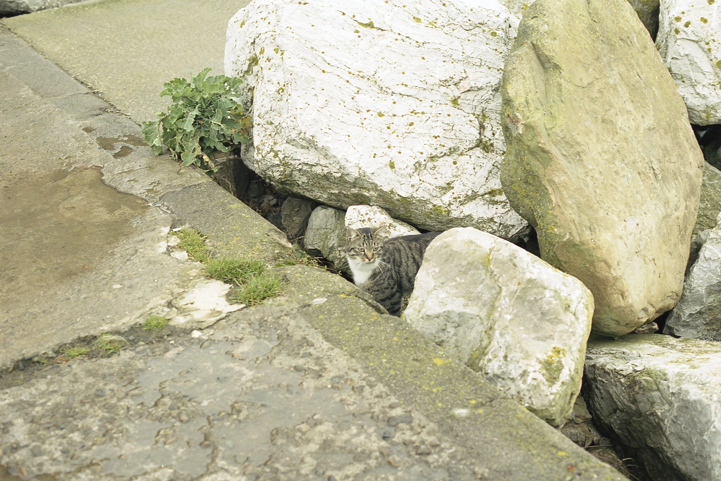 staithes5.jpg