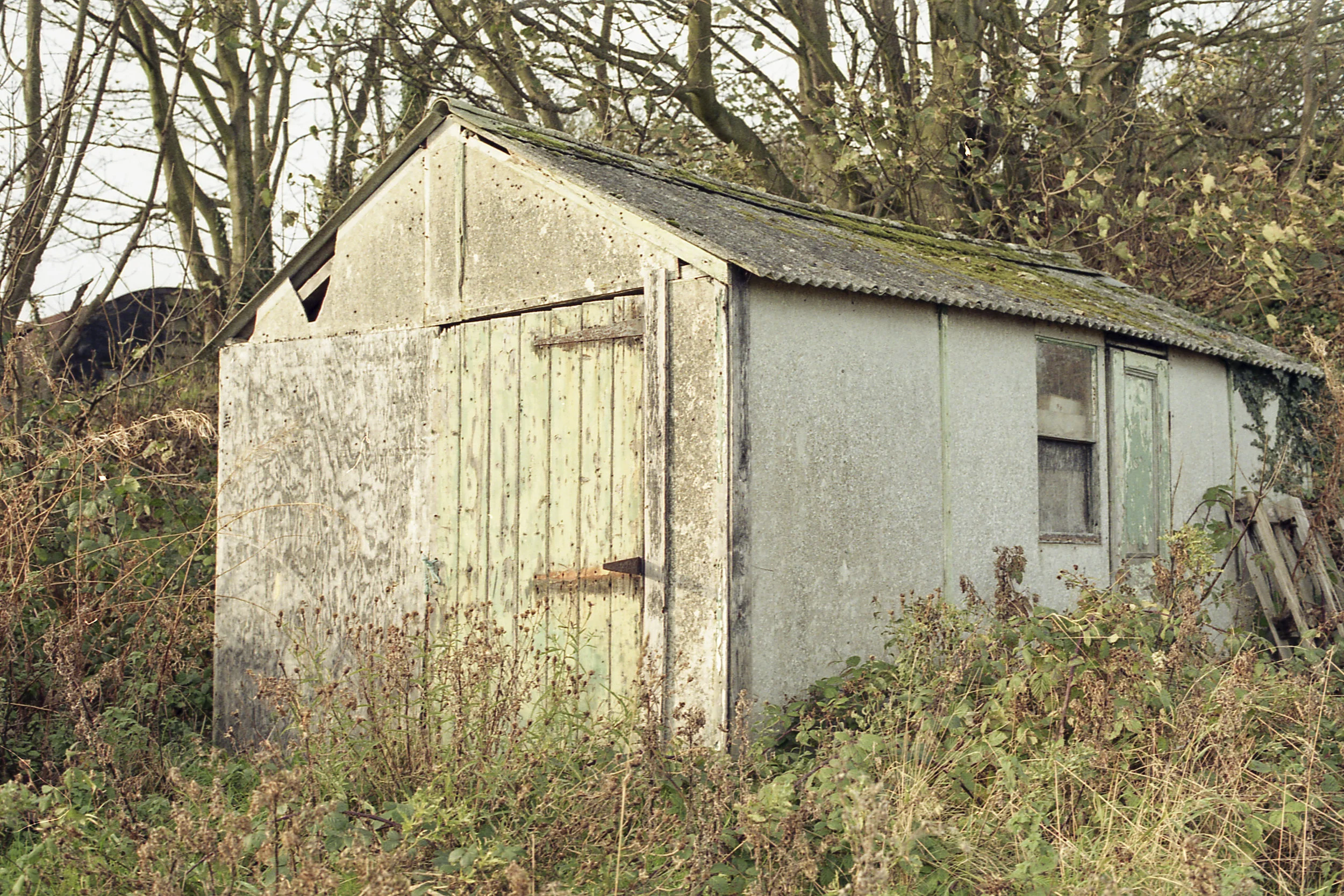 greenshed.jpg